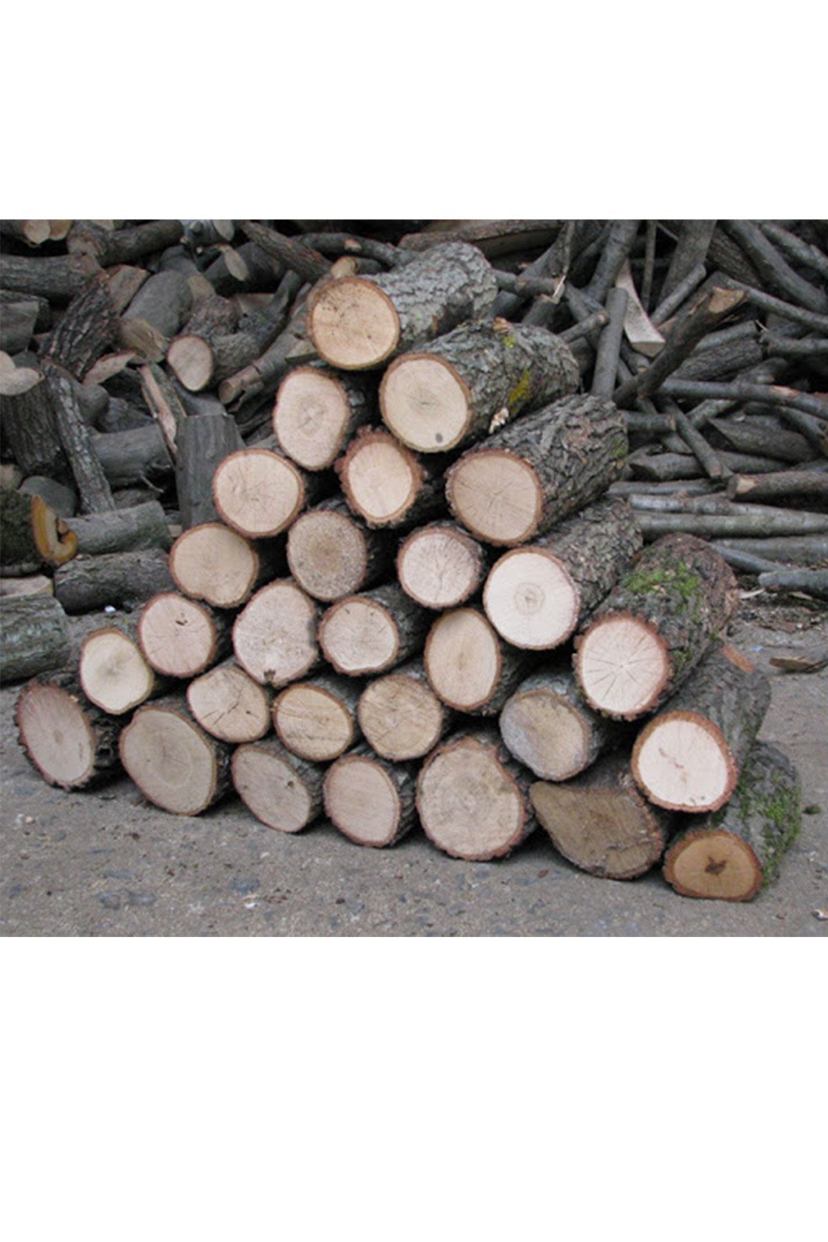 ACELEBOX 10 Kg Şöminelik Sobalık Meşe Odunu Hakiki Meşe Odunu