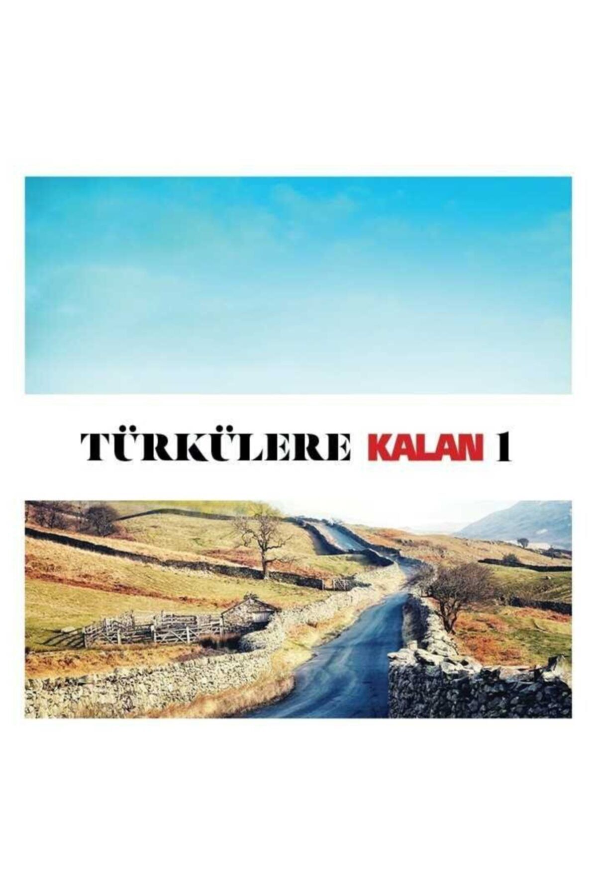plakmarketi Türkülerle Kalan/1-cd