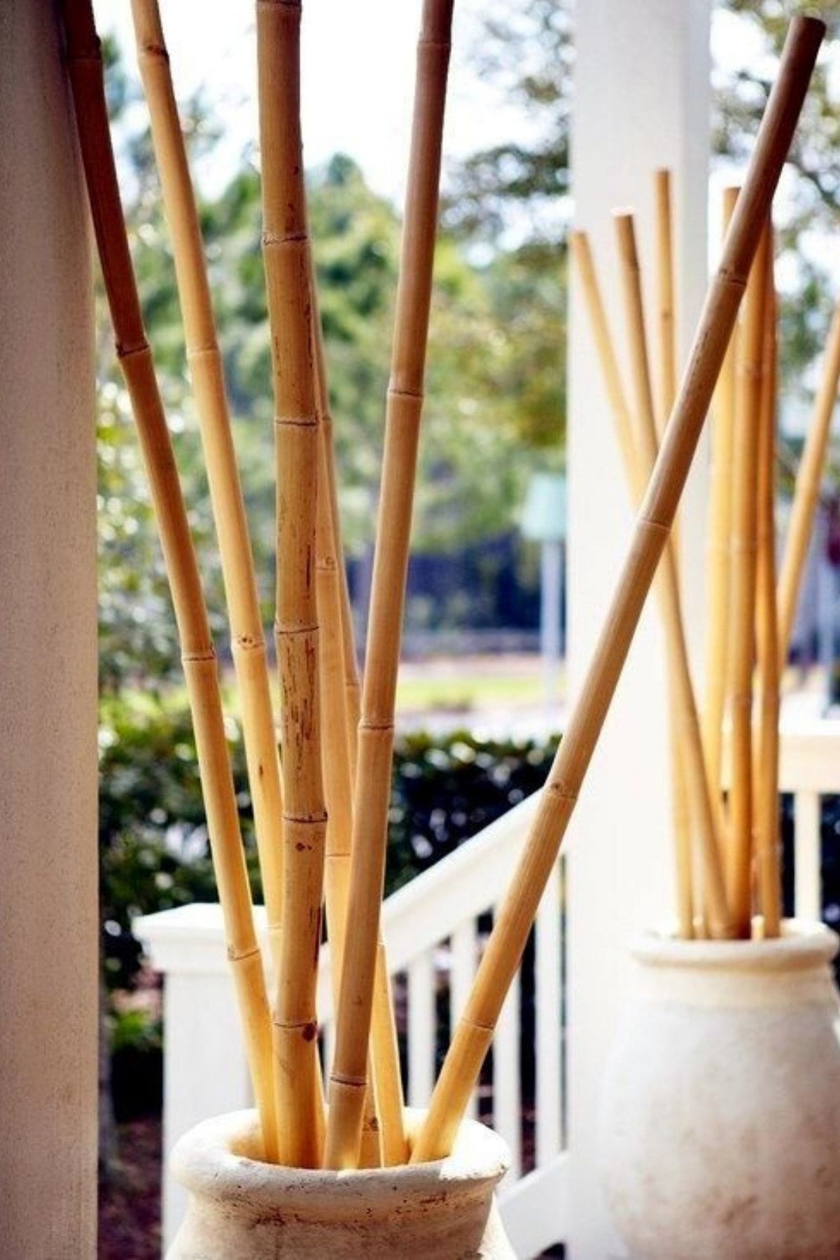 Alyones Dekoratif 10'lu Süs Bambu Çubuğu 1 M Boyunda