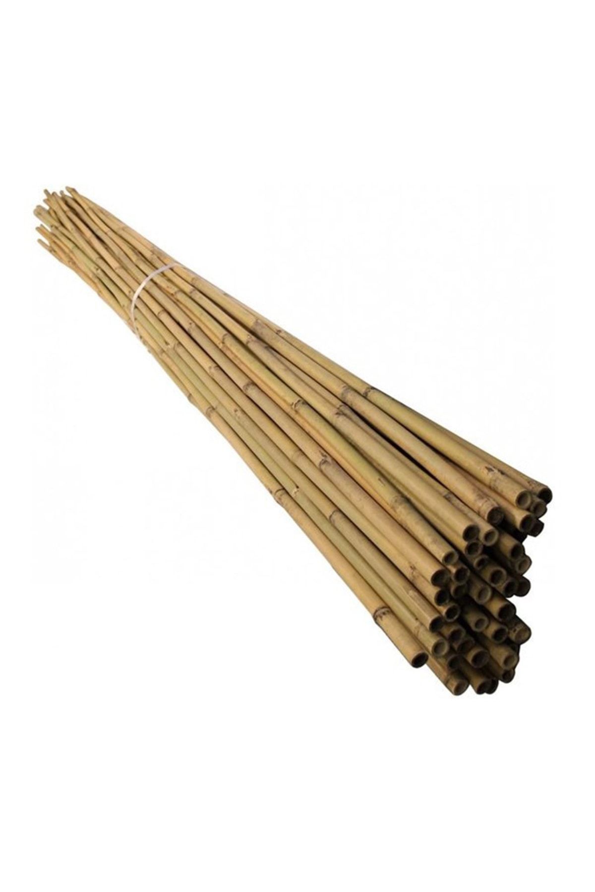 UZAY BAHÇESİ Gerçek Bambu 240 Cm 18-20 Mm Bitki Destek Cubuğu 5 Adet