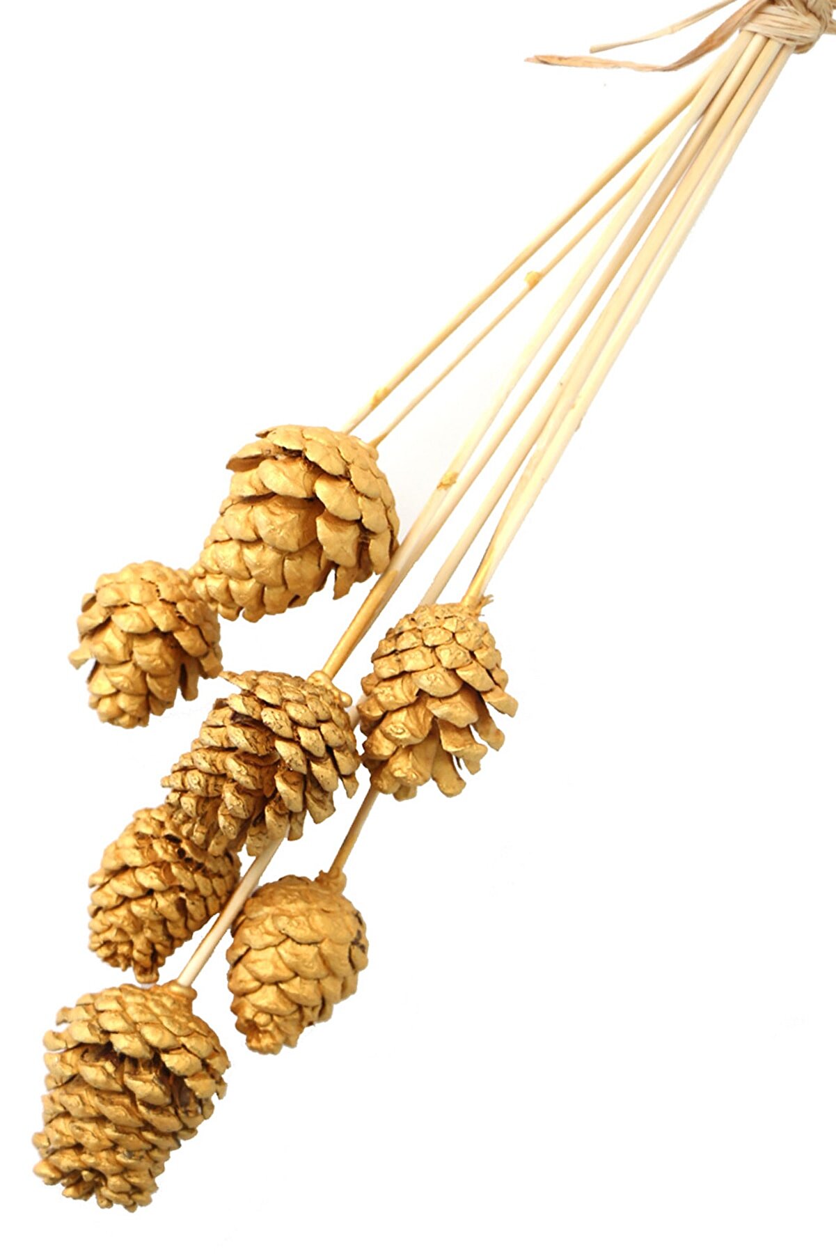 Yapay Çiçek Deposu 7Li Çam Kozalak Bambu Saplı Altın Renk (Gold)