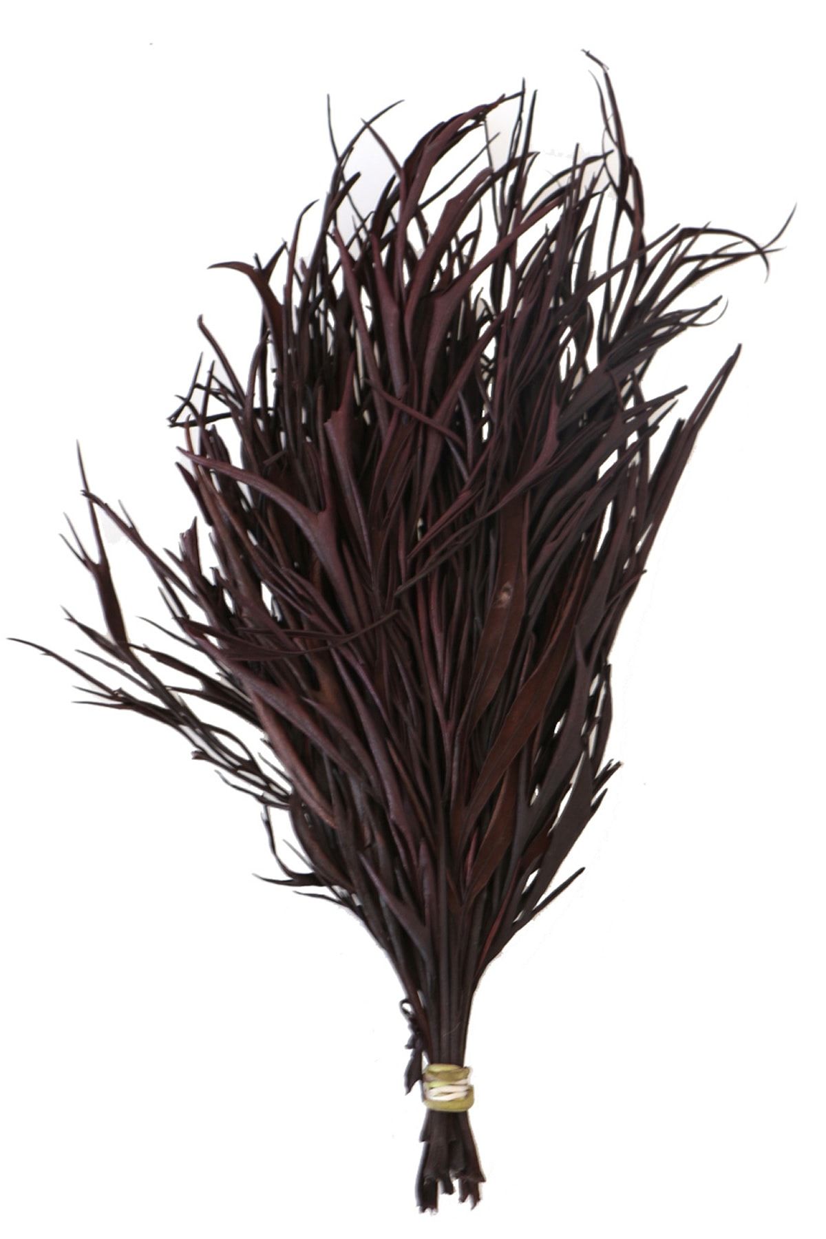 Yapay Çiçek Deposu Dekoratif Kurutulmuş Kahverengi Mini Bitki 20 Cm Gavellia Leaves