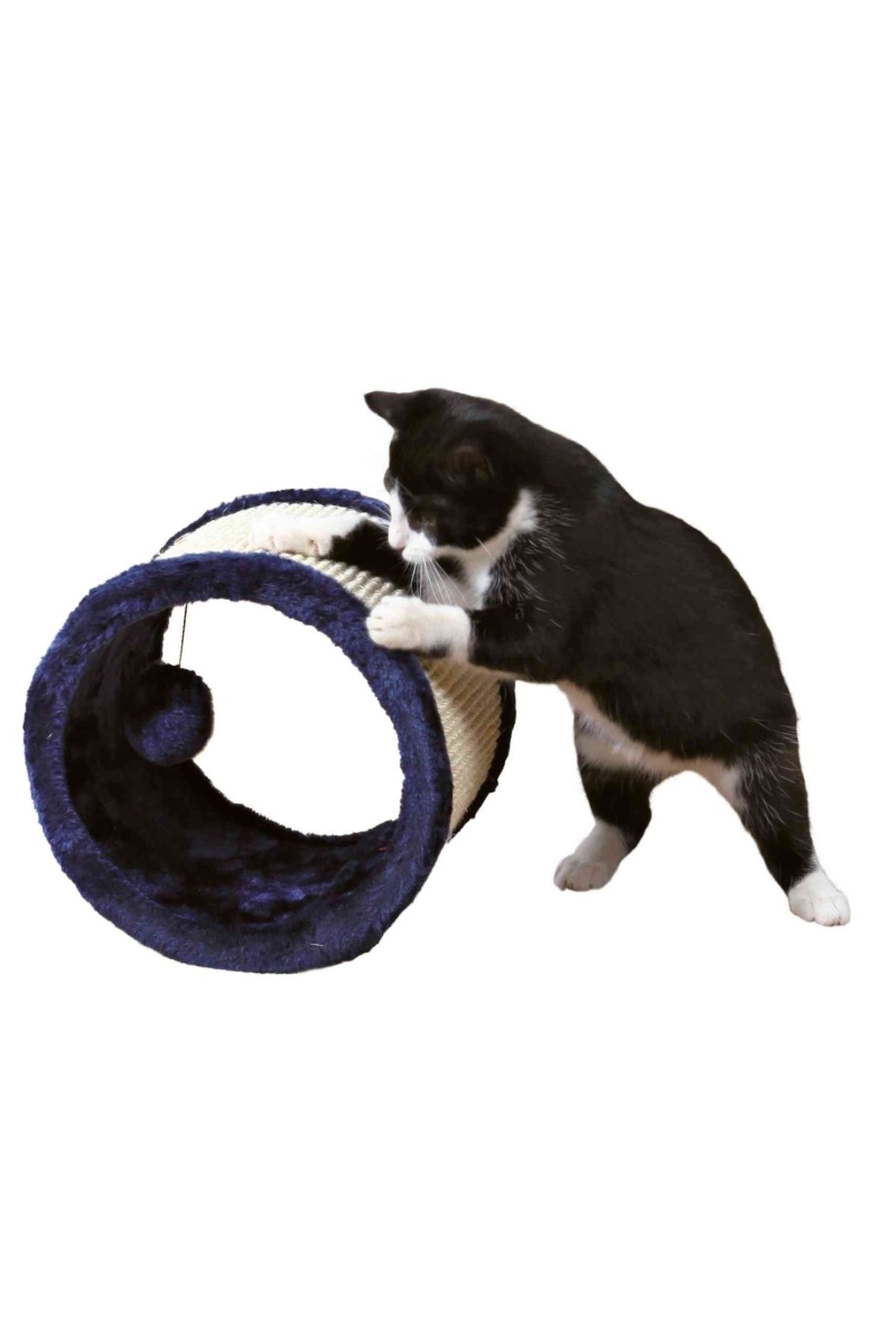 Trixie Kedi Tırmalama Tahtası ve Oyuncağı 23x20cm Mavi 263093