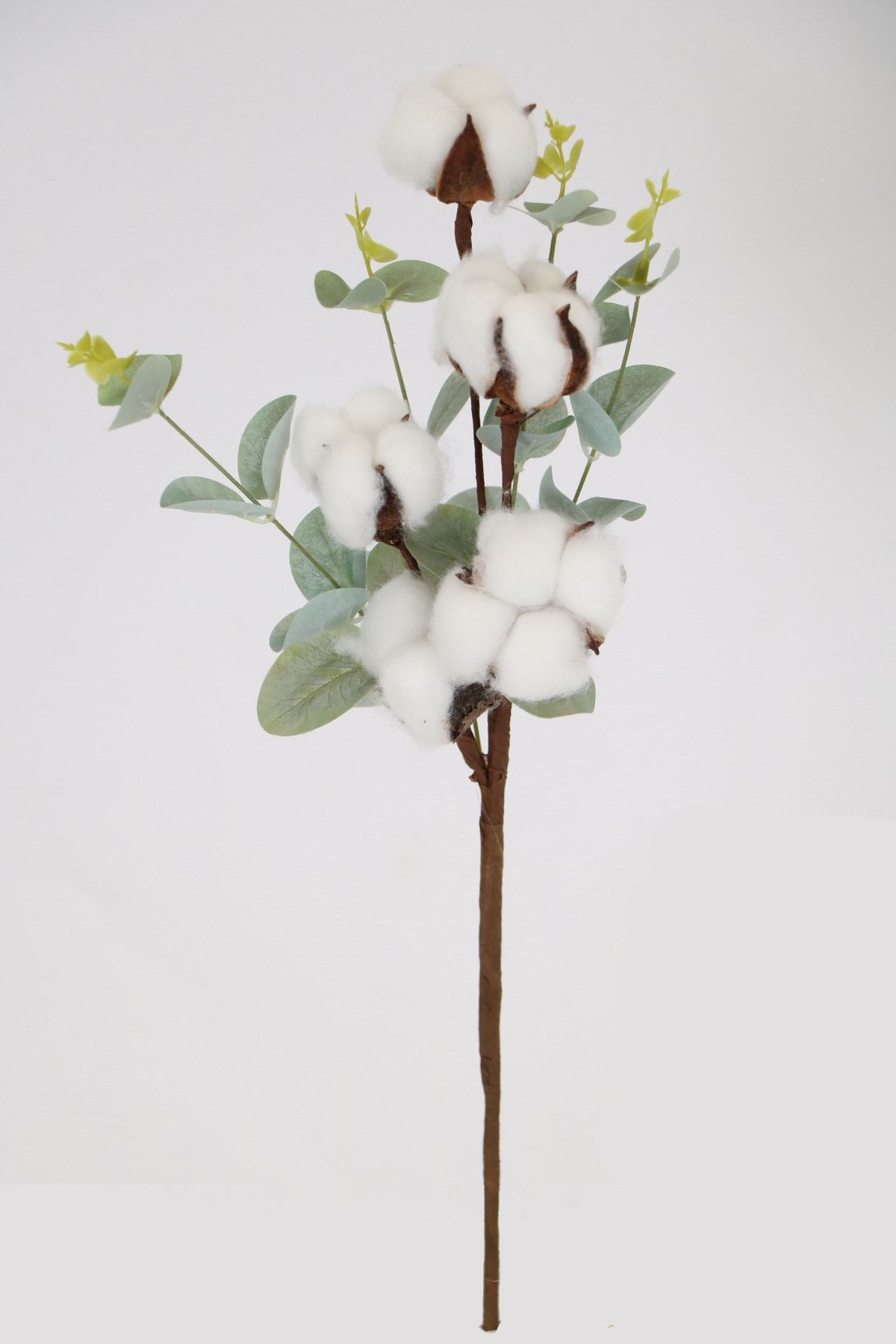 Yapay Çiçek Deposu Okaliptus Bitkili 5li Pamuk Dalı 43 Cm