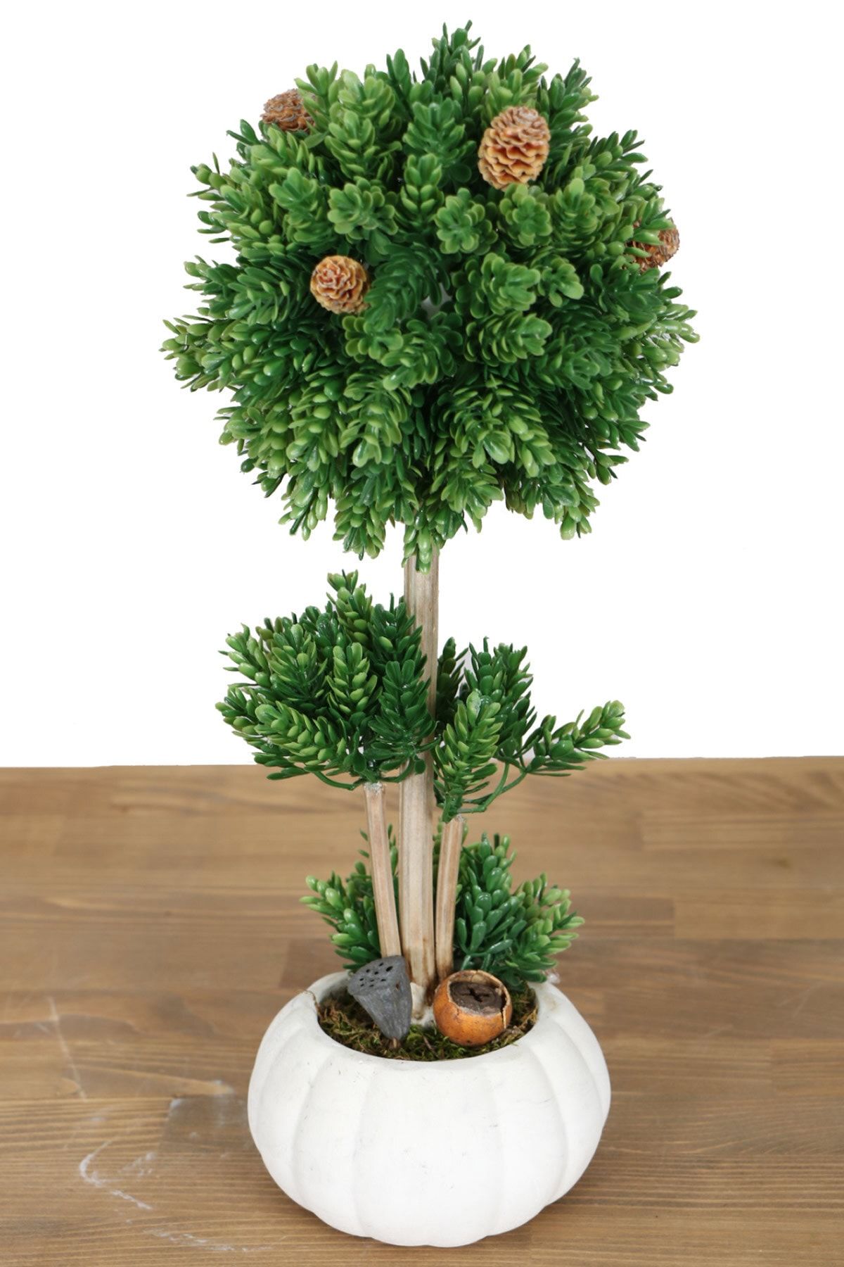 Yapay Çiçek Deposu Küçük Kabak Saksıda Mini Çam Şimşir Ağaç
