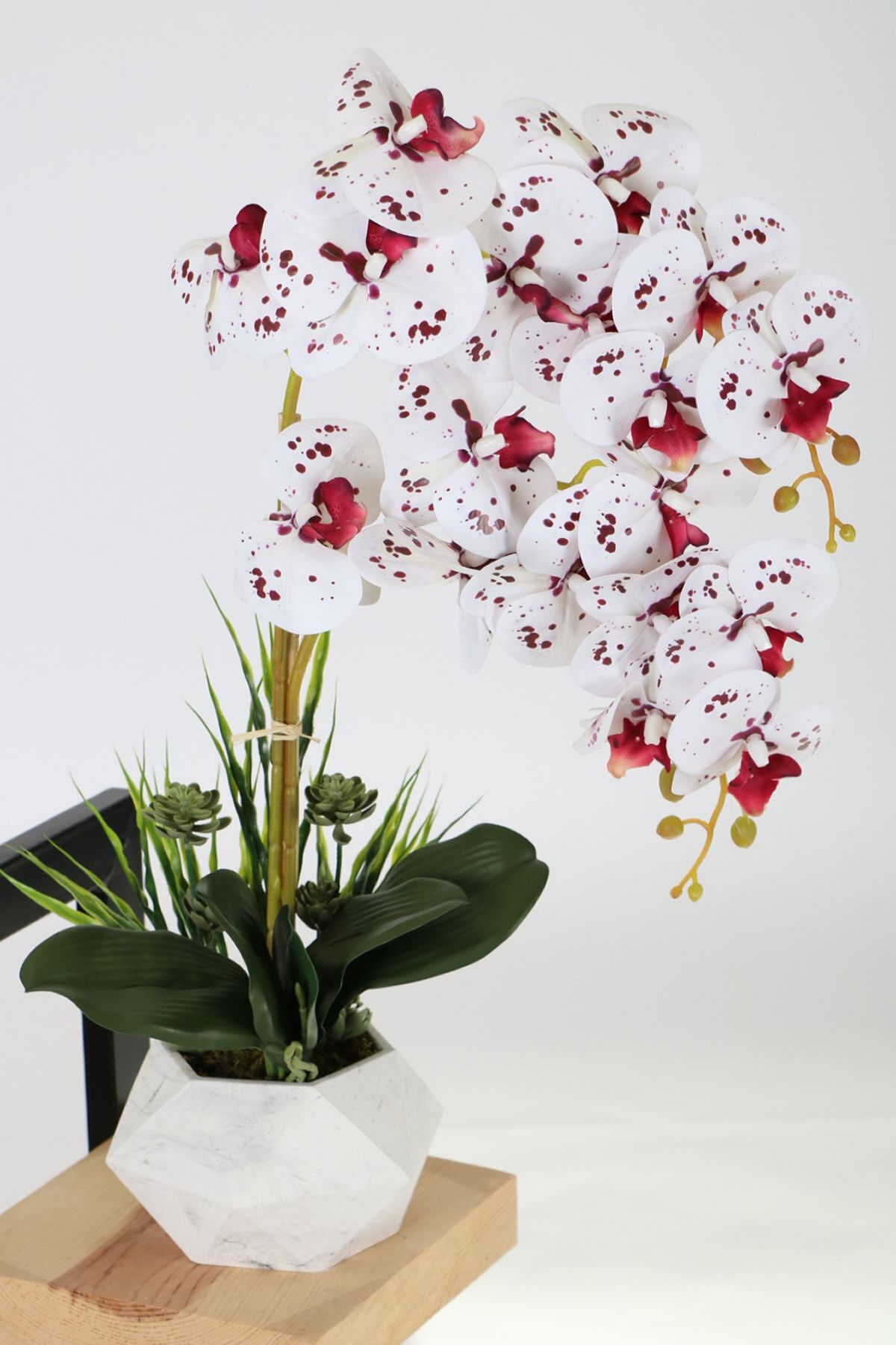 Yapay Çiçek Deposu Beton Saksıda Yapay Baskılı Islak 2 Dal Orkide 60 Cm Bordo Benekli