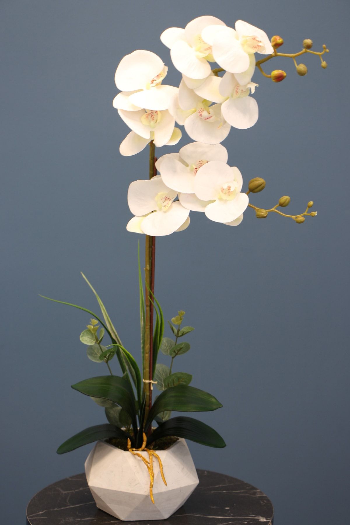 Yapay Çiçek Deposu Yapay Çiçek Beton Saksıda 2li Orkide Tanzim Kırık Beyaz 75 cm
