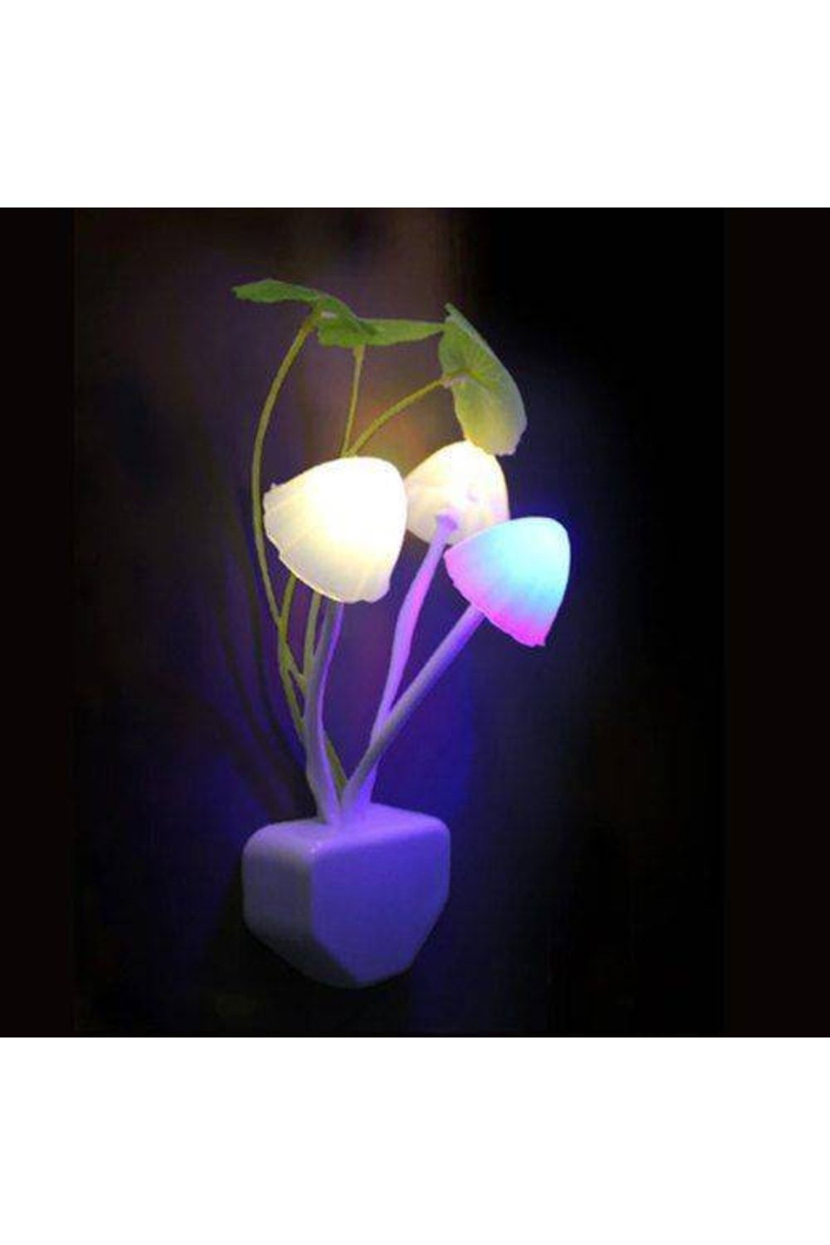Petrix Çiçekli Dekoratif Rgb Sensörlü Gece Lambası