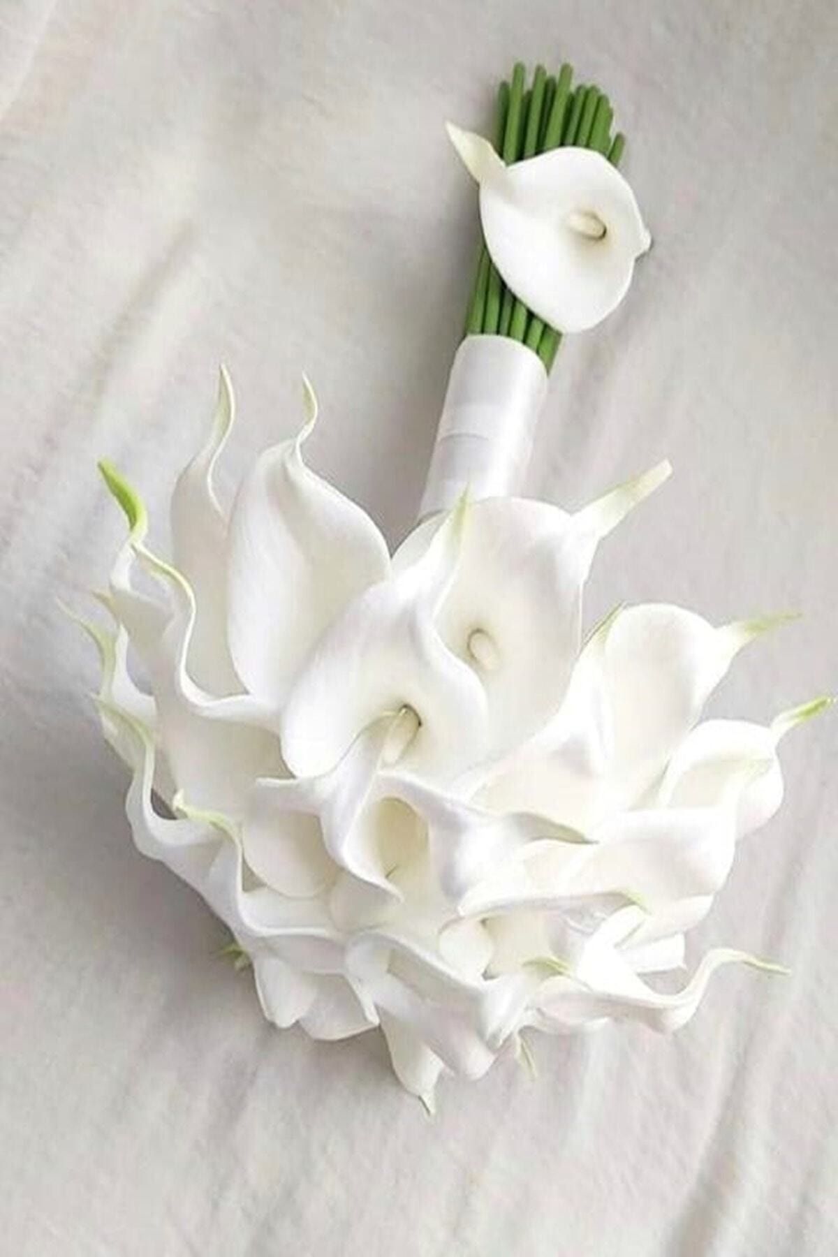 fesleğen çiçek Gelin Buketi Kırık Beyaz Islak Gala Yaka Çiçeği