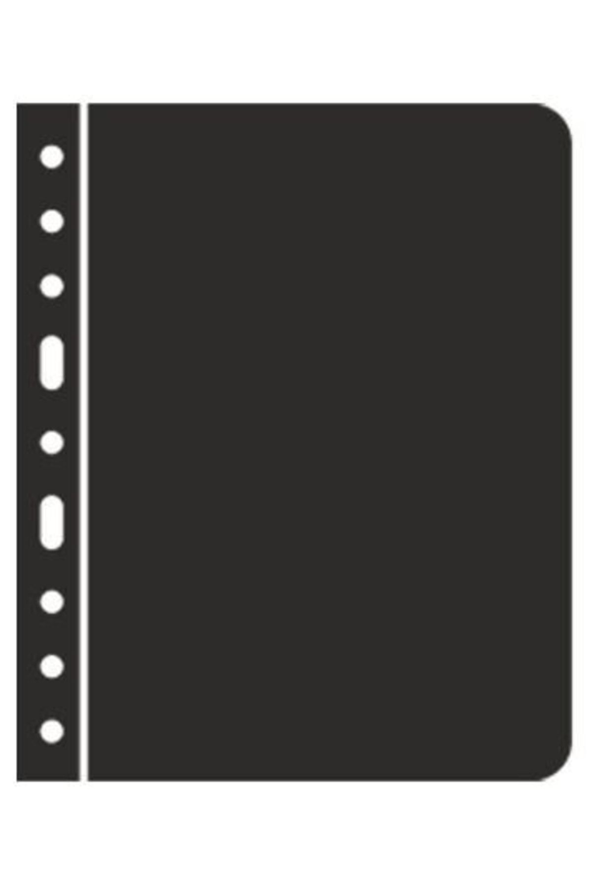 Leuchtturm Vario Siyah Separatör Sayfa