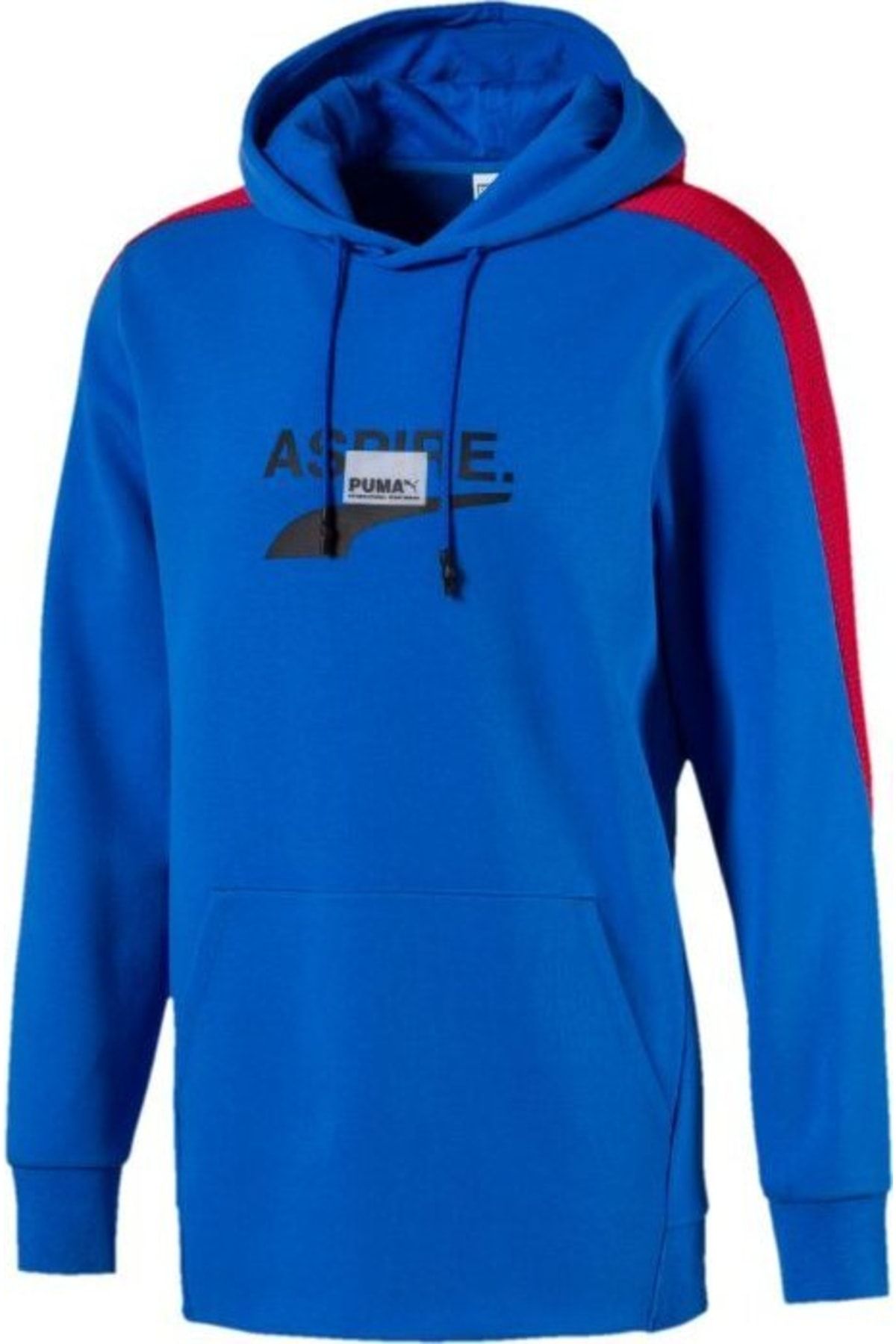 Puma Erkek Avenir Hoody Palace Blue Kapüşonlu Sweatshırt 59645941