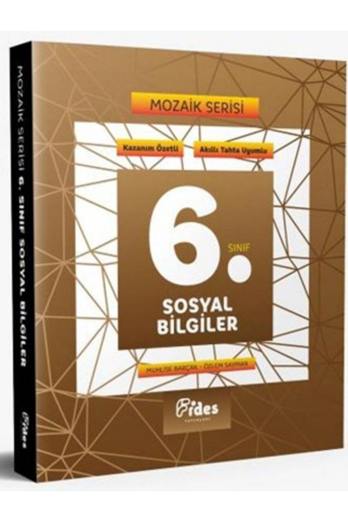 Fides Yayınları 6.sınıf Sosyal Bilgiler Mozaik Serisi
