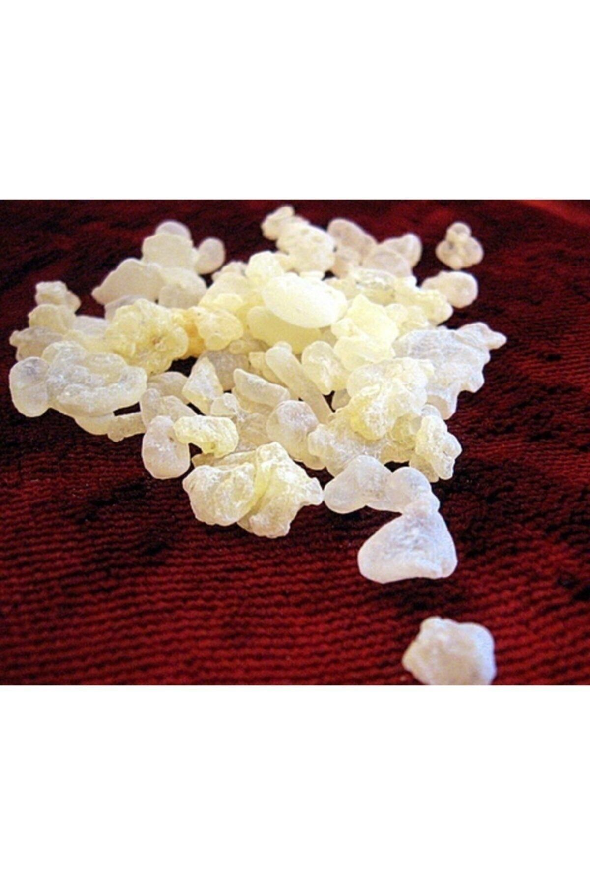 herbal vital Damla Sakızı Greek Gum Mastic, Natural Chios (xios) ( Mastiha Or Mastixa ) 600gram