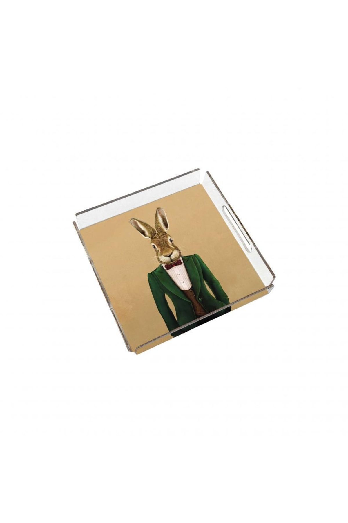 Adawall Mr. Rabbit Pleksi Tepsi (25x25cm)