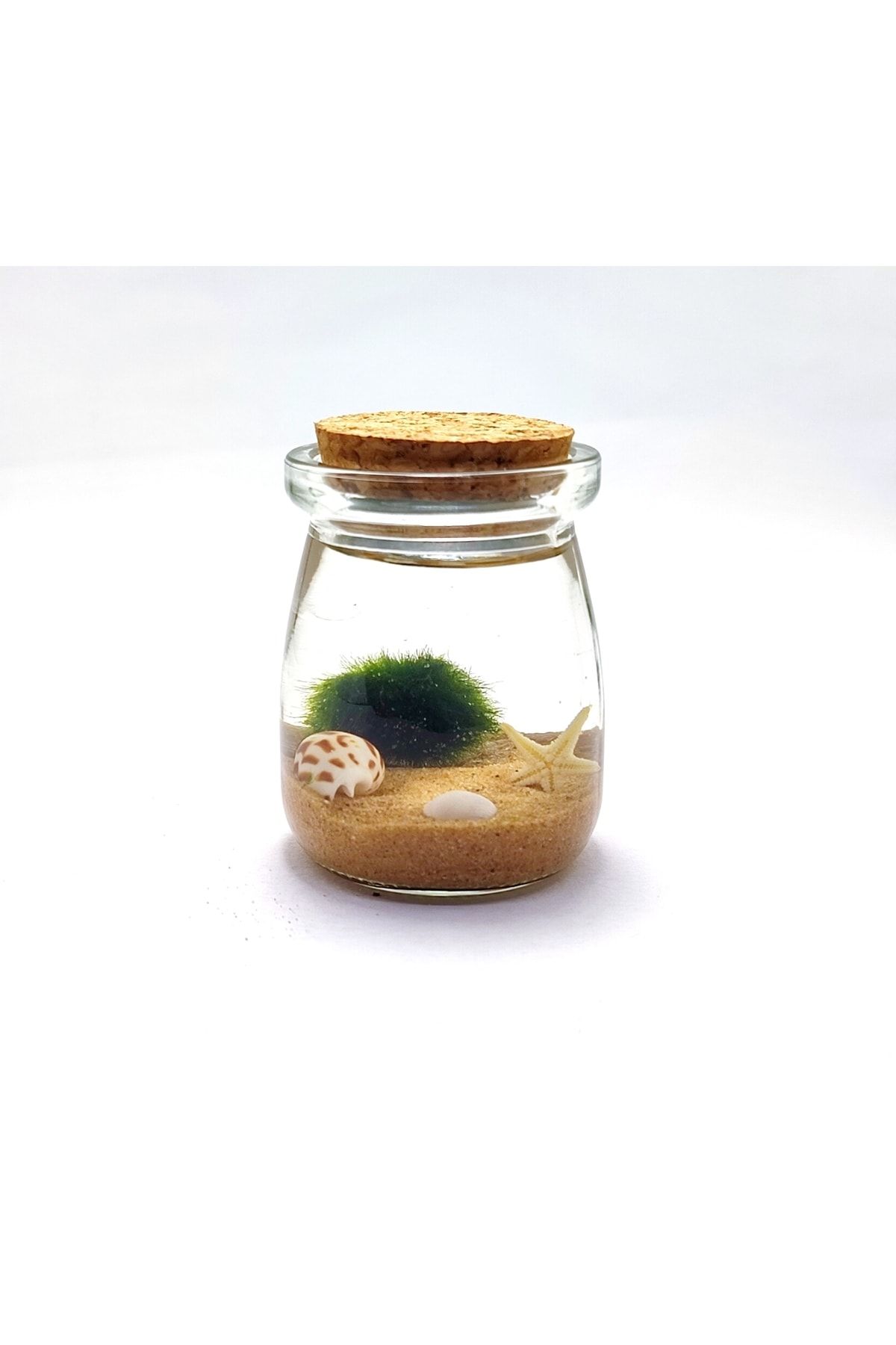 Sakura Marimo Mossball Şans Yosunu (5X7H)