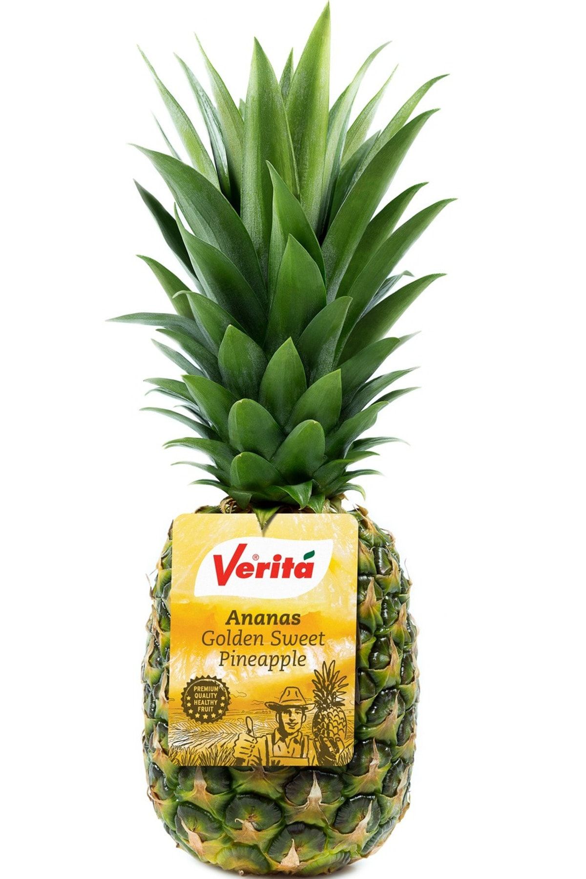 Verita Gold Ananas 10'lu Koli - 12 Kg