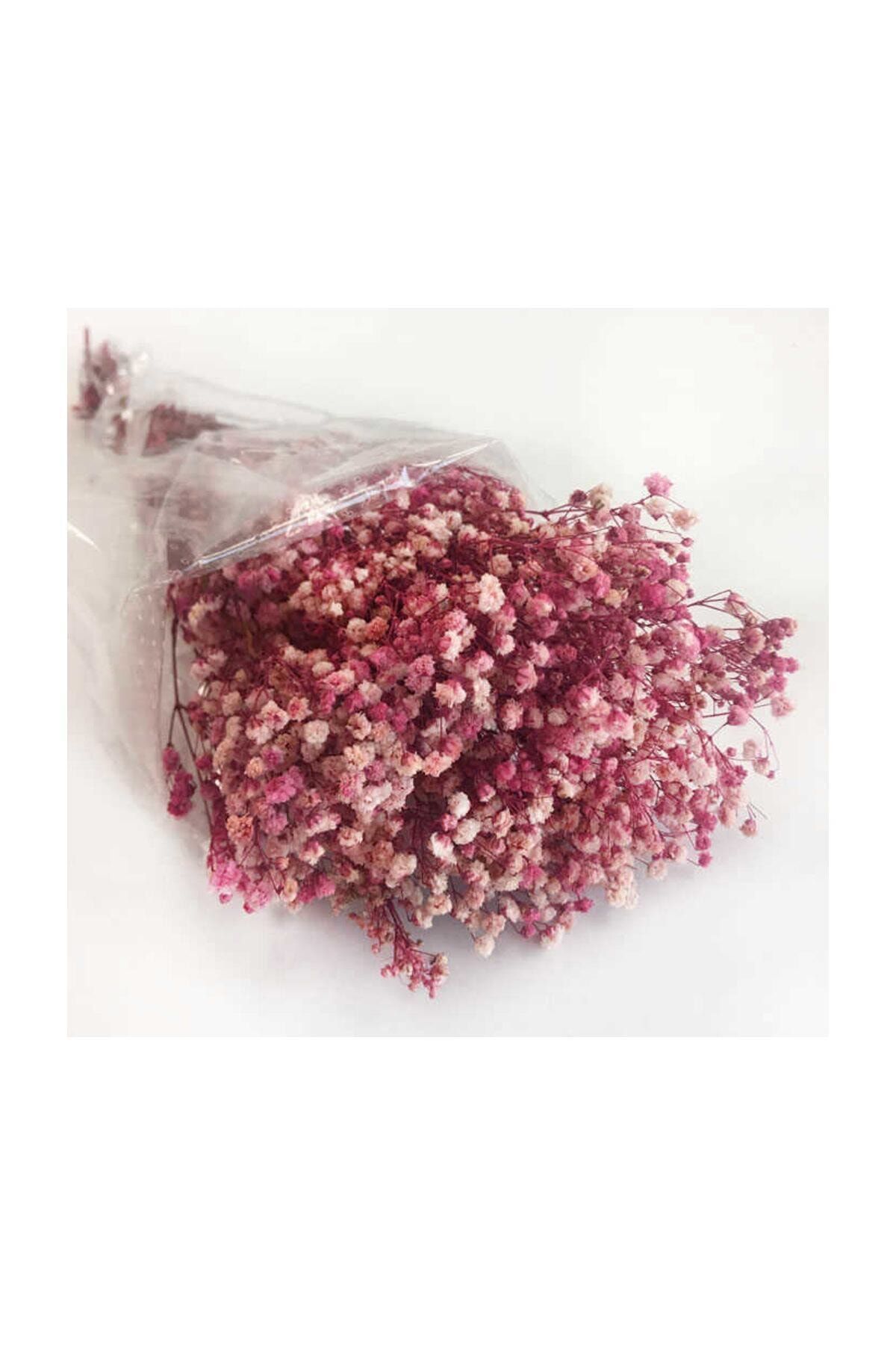 Evsay 1 Demet Doğal Cipso Çiçek Pembe ( 18 Cm * 40 Cm ) ( 50 gram) Parti Süslemeleri