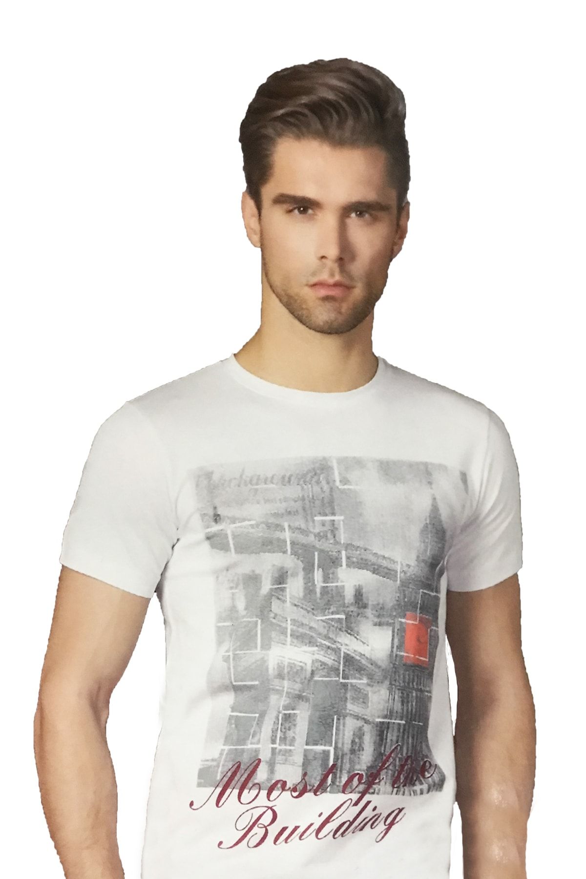 Berrak Erkek Köprü Baskılı T-shirt 1047
