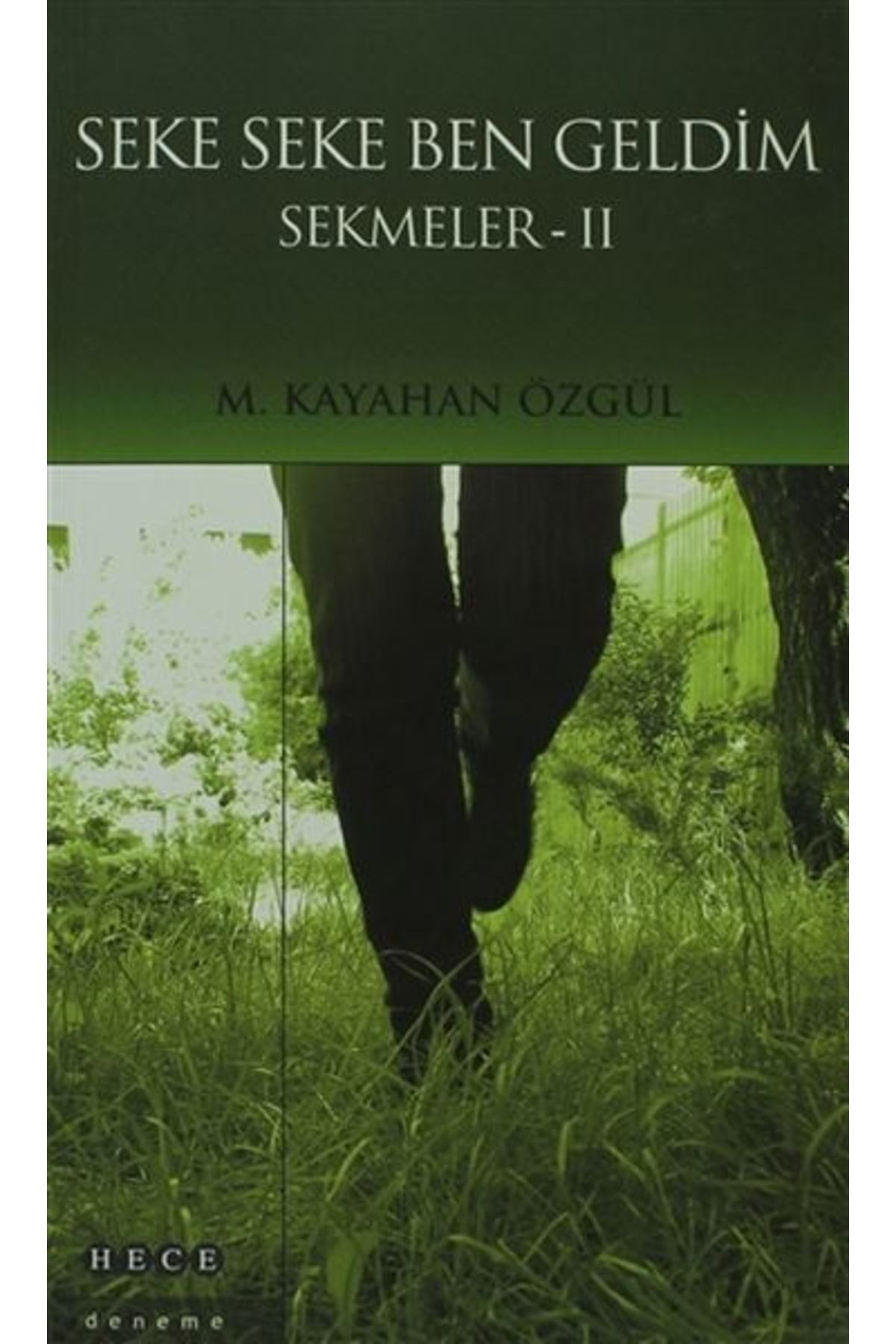 Hece Yayınları Seke Seke Ben Geldim - Sekmeler 2 - - M. Kayahan Özgül Kitabı