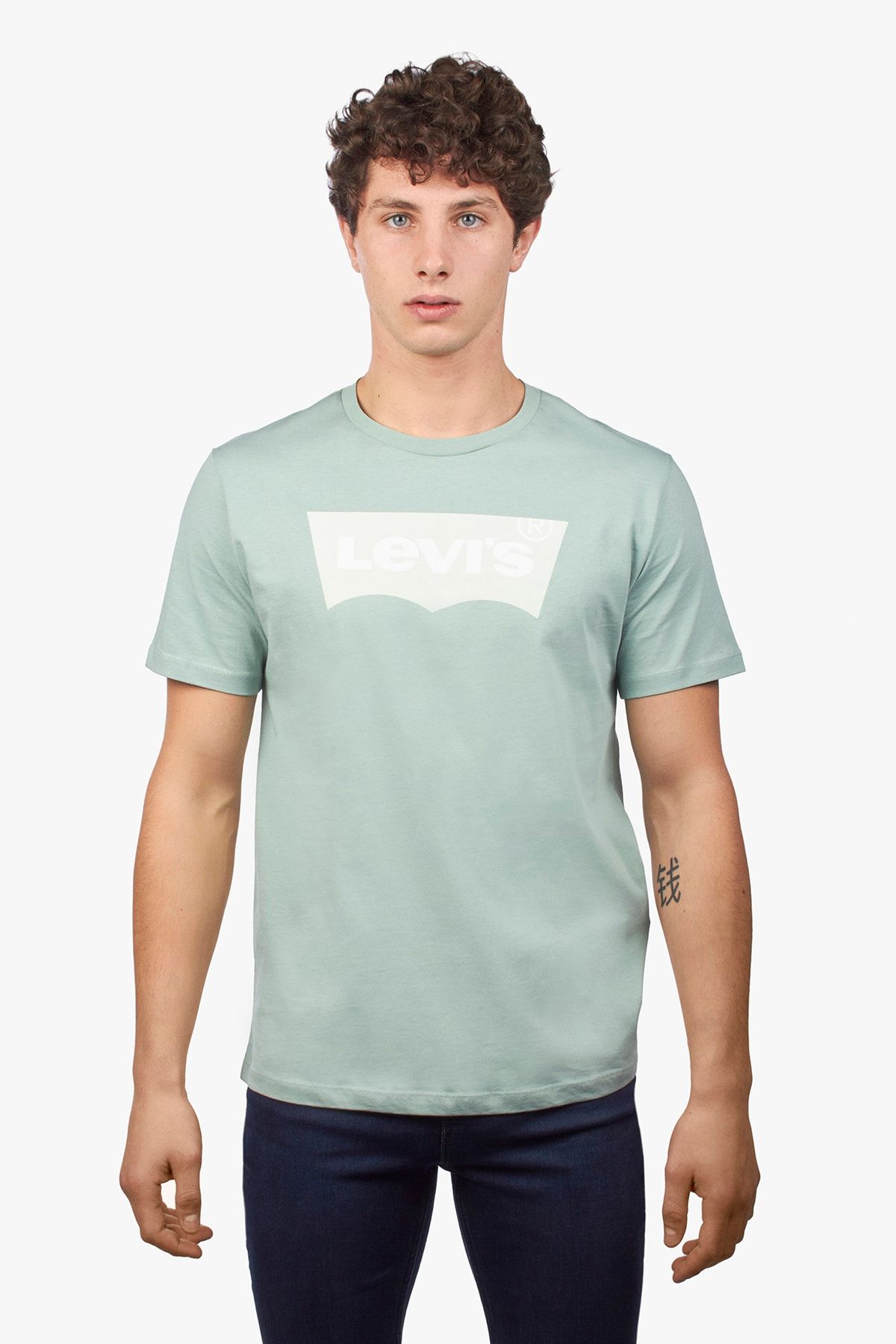 Levi's Erkek Yeşil T-shirt Housemark Graphic Tee - 22489-0431
