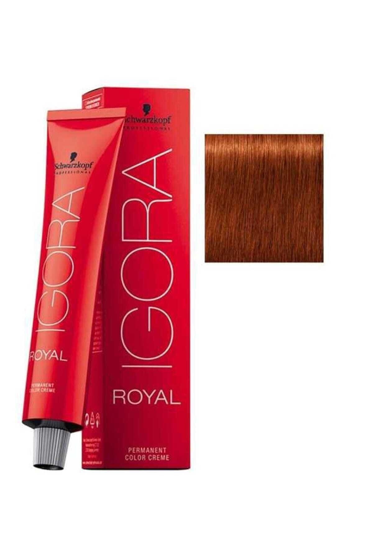 Краска Igora Где Купить