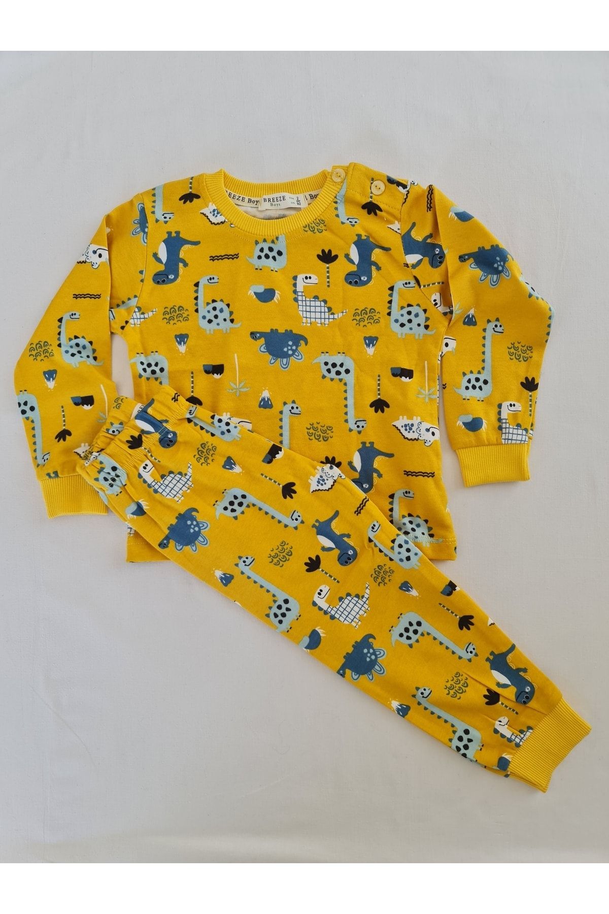 Breeze Erkek Çocuk Dinozorlu Pijama Takımı