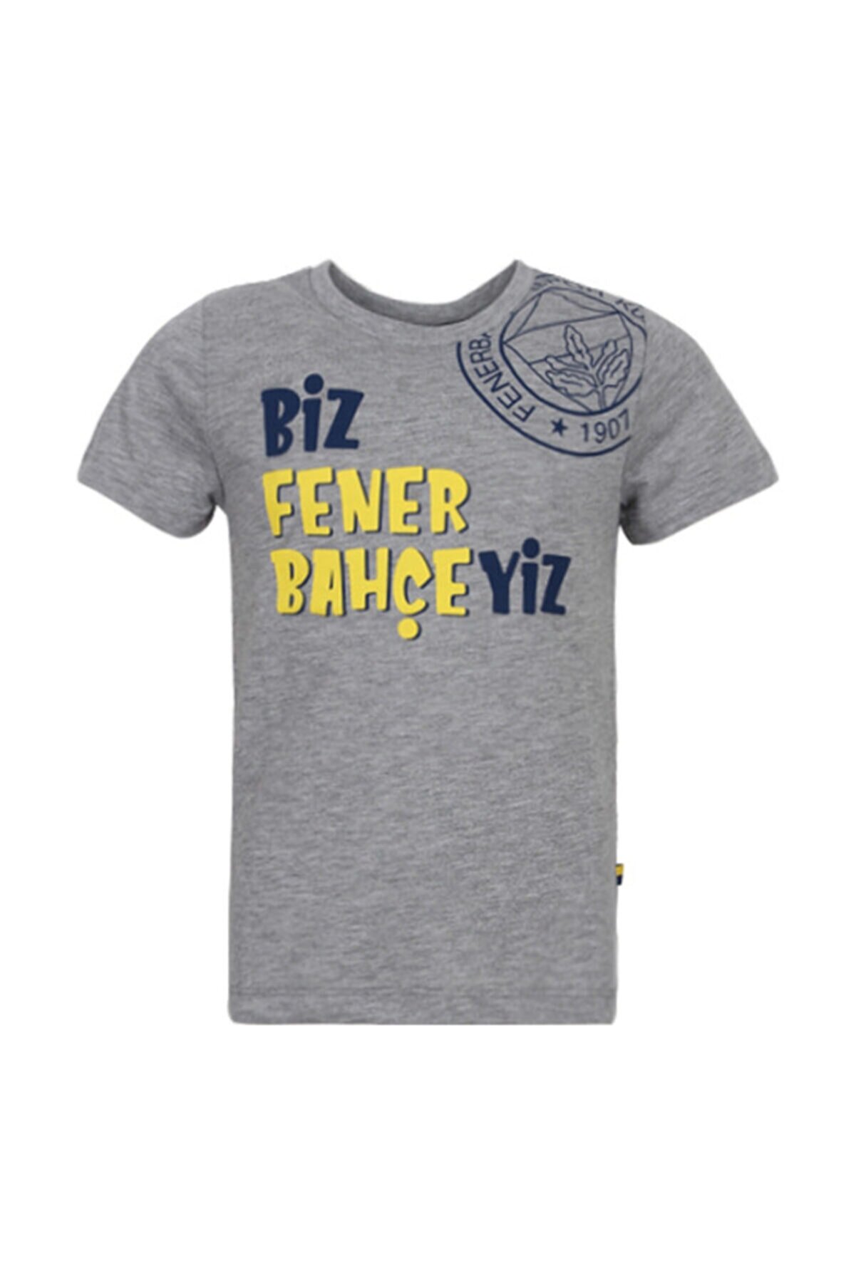 Fenerbahçe Unisex Çocuk Gri Trıbun Biz Fenerbahçeyiz Spor T-Shirt