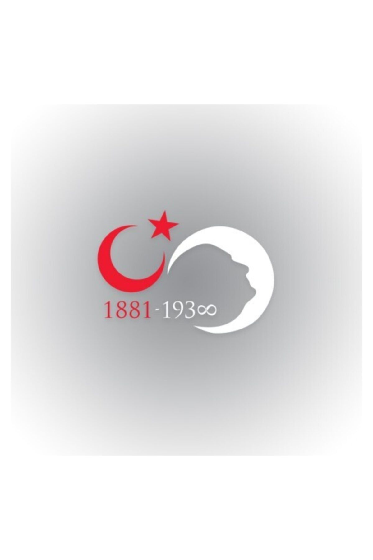TSC Atatürk Sonsuz Ay Yıldız Silüet Oto Sticker 30 cm x 21 cm