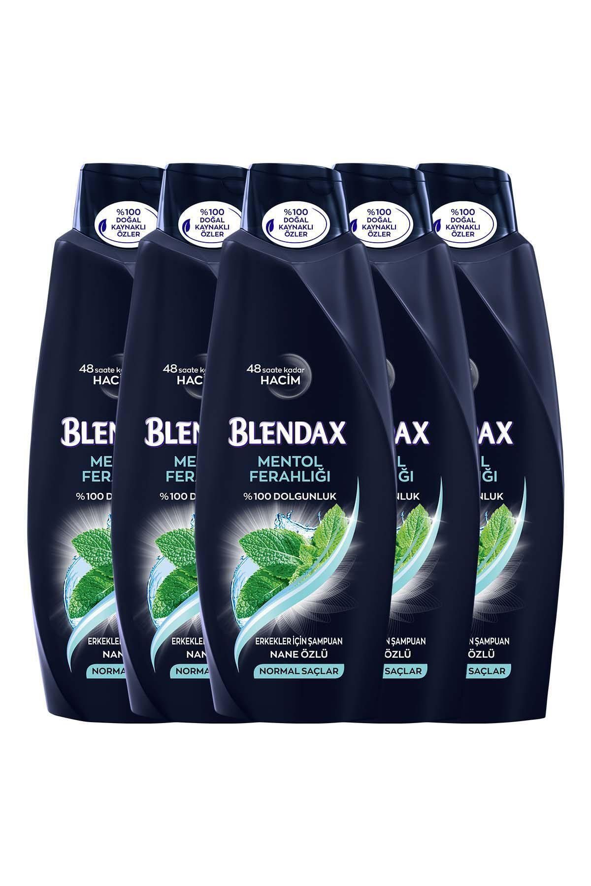 Blendax Erkekler İçin Mentollü Şampuan 550 ml x 5
