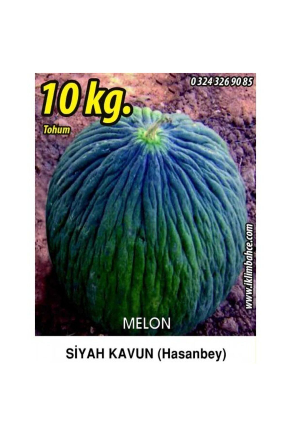 Rem Seeds Kavun Tohumu Hasan Bey 1 / 10 KG.