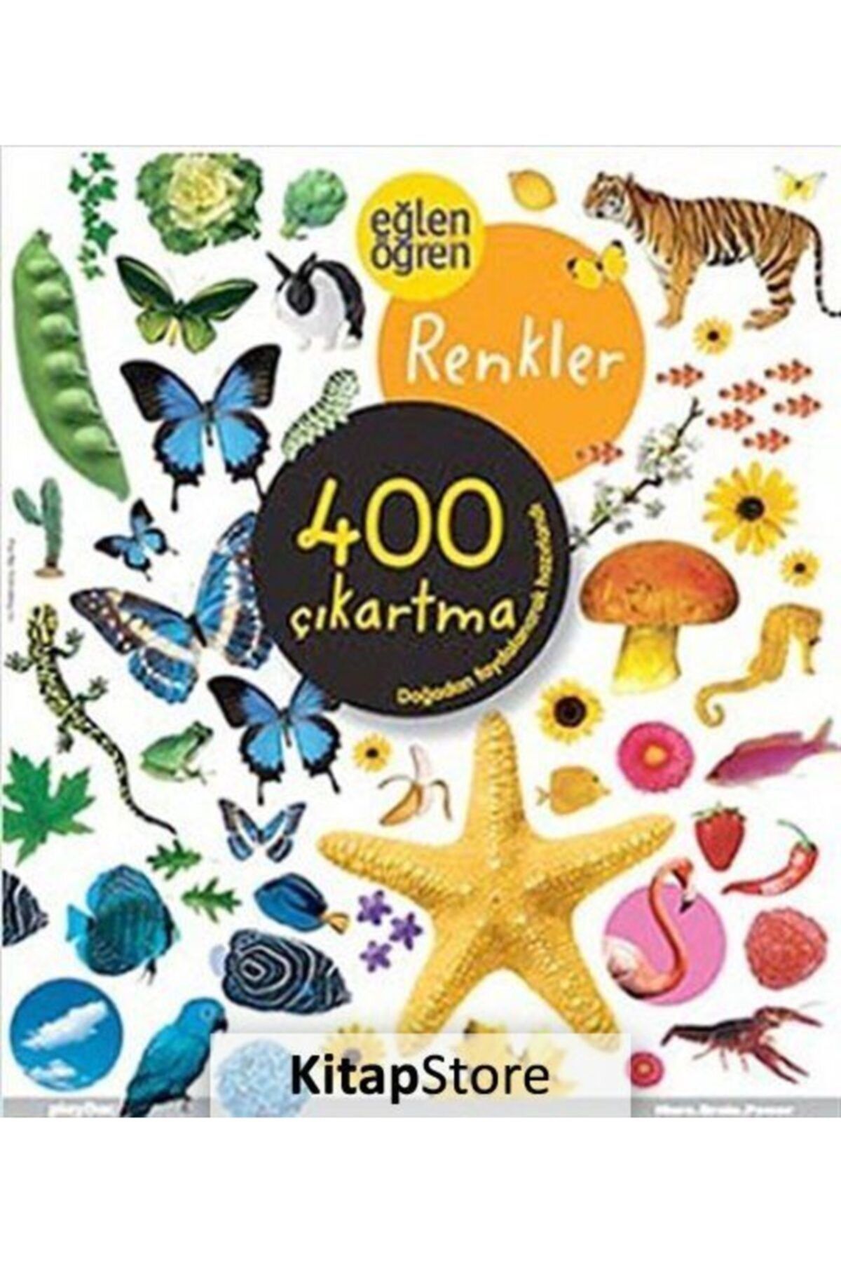Dstil Tasarım İletişim Yayınları Eğlen Öğren Renkler 400 Çıkartma
