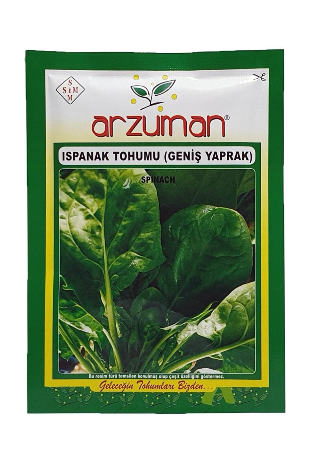 Arzuman Tohum Geniş Yapraklı Ispanak Tohumu 25 gr