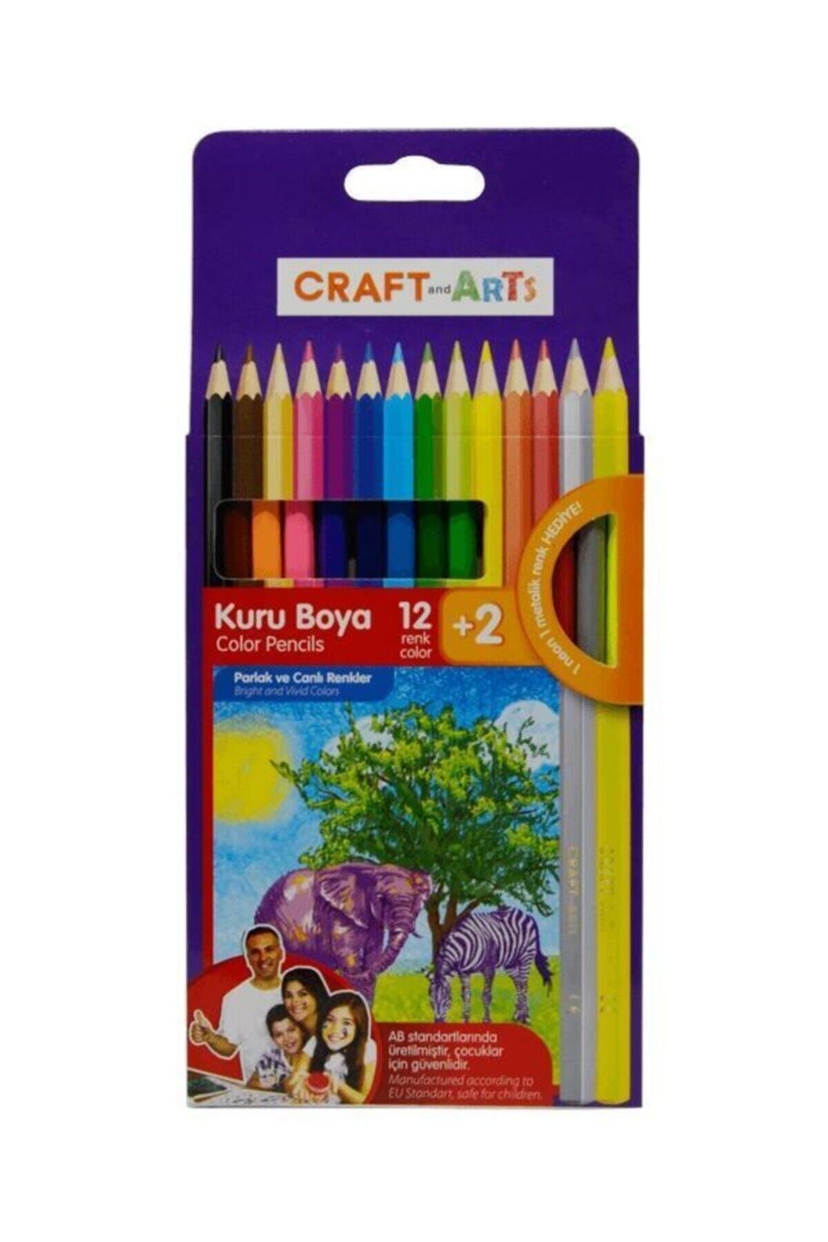 Craft and Arts Kuru Boya 12+2 Renk