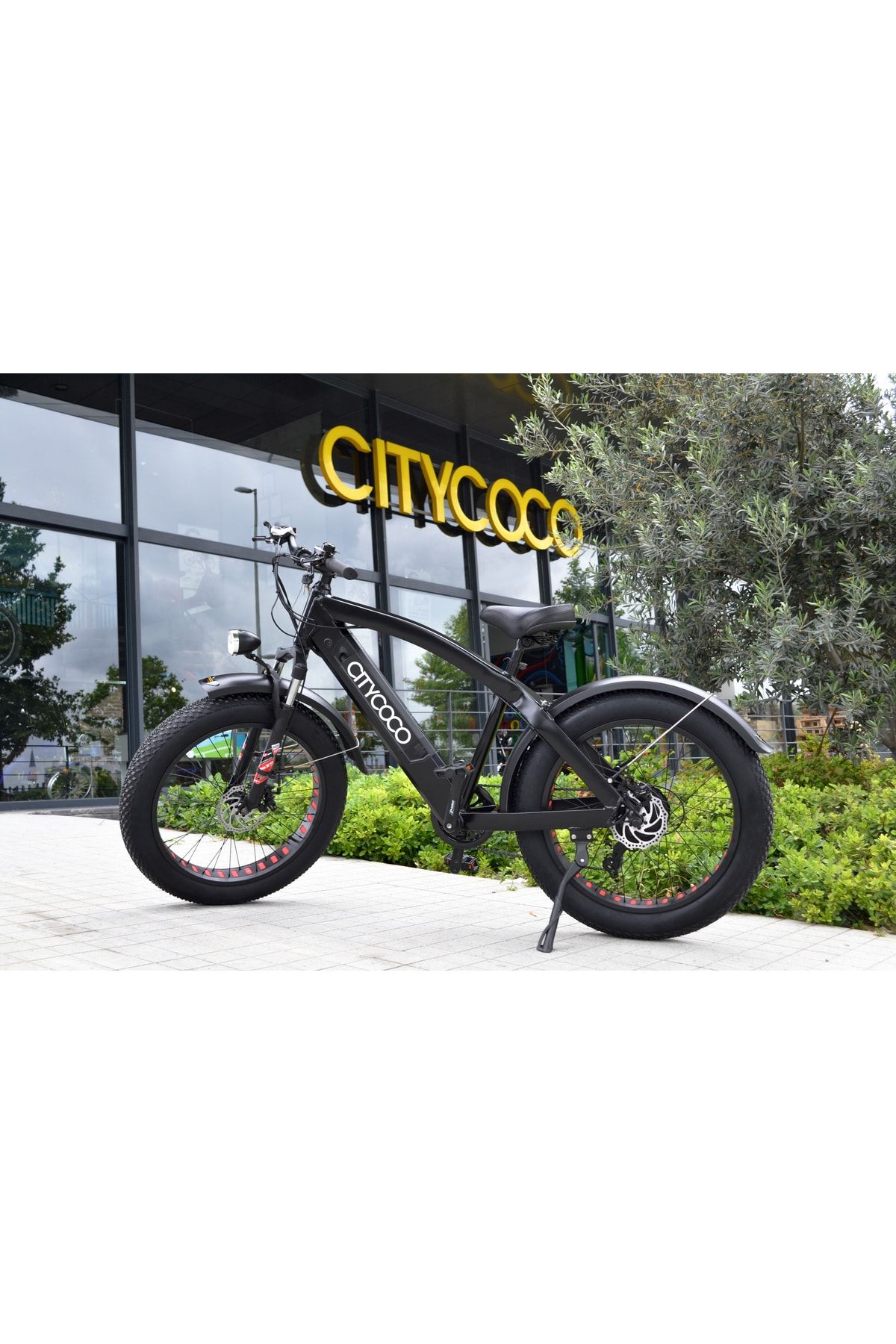 Citycoco Fat Bike Bisiklet