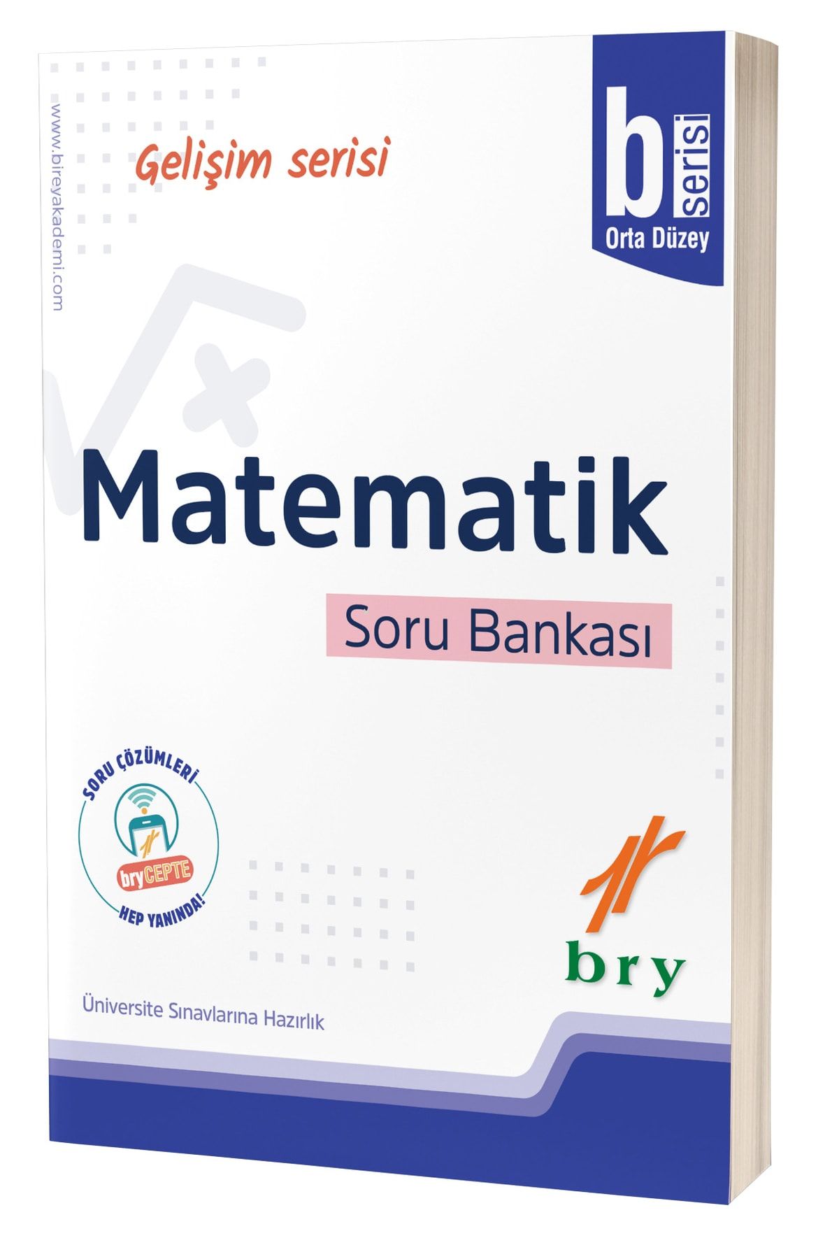 Birey Eğitim Yayınları Bry Gelişim Serisi Matematik Soru Bankası - B
