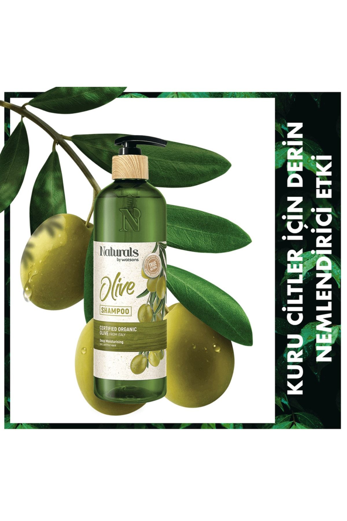 Naturals By Watsons Şampuan Olive 490 Ml