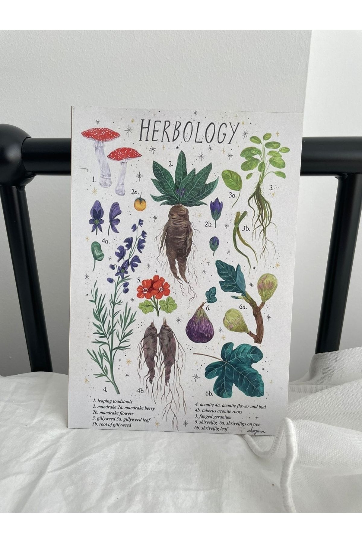 Planet Butik Herbology Mini Ahşap Poster