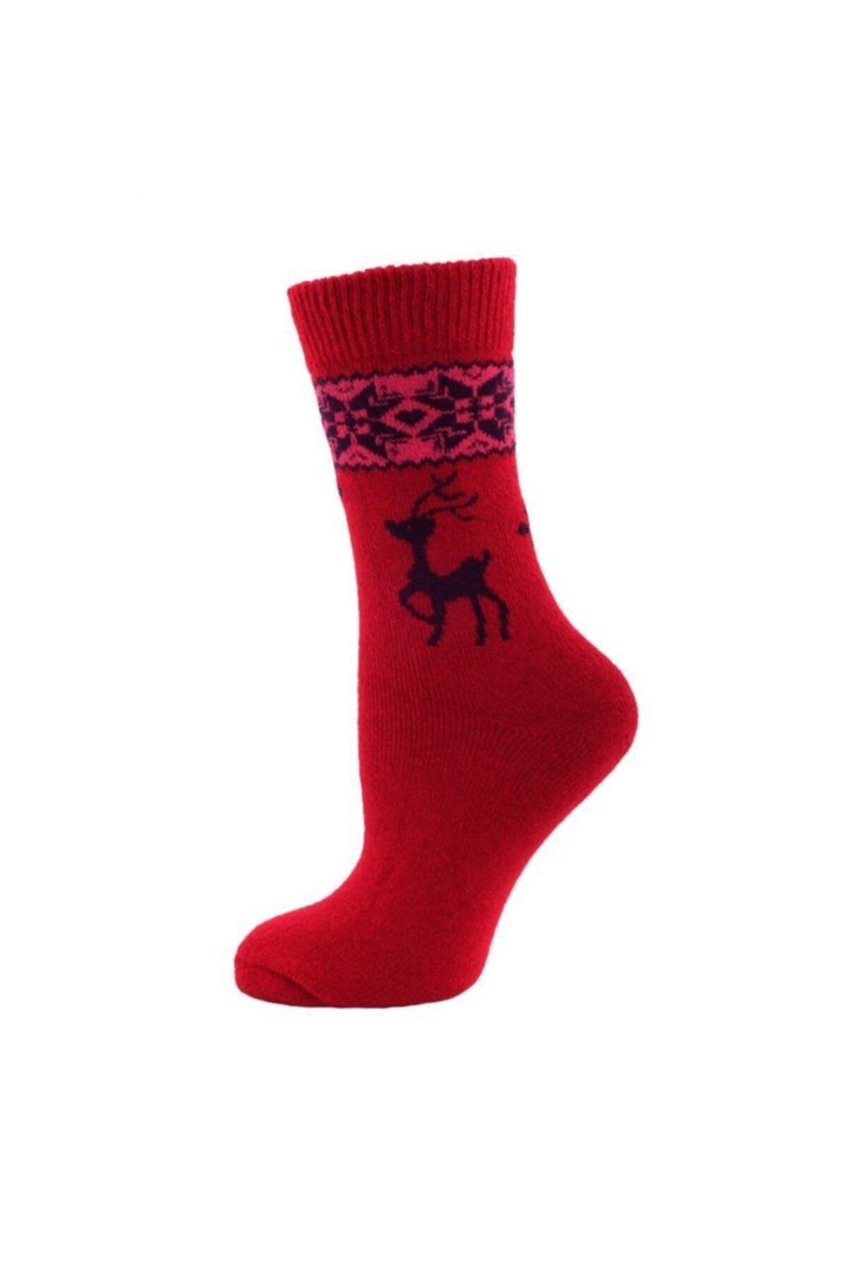 Panthzer Casual Wool Socks Kadın Çorap Kırmızı/lacivert