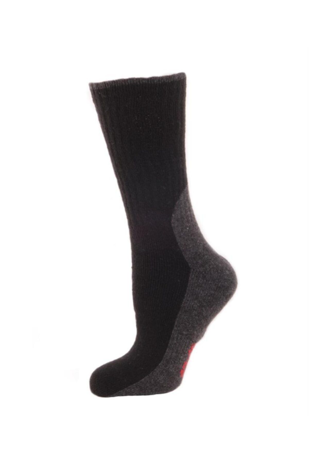 Panthzer Trekking Socks Erkek Çorap Siyah
