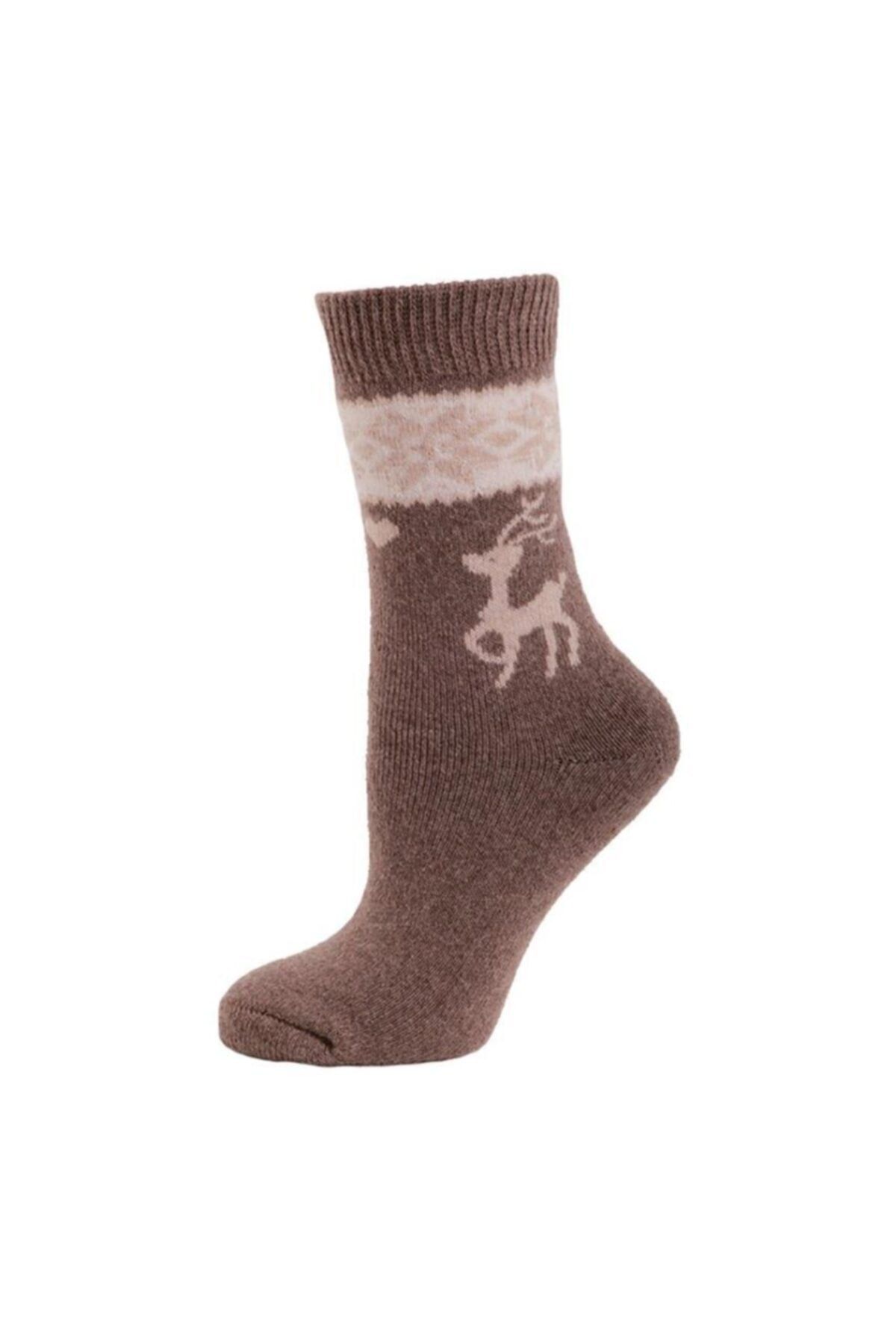 Panthzer Casual Wool Socks Erkek Çorap Bej/kahverengi