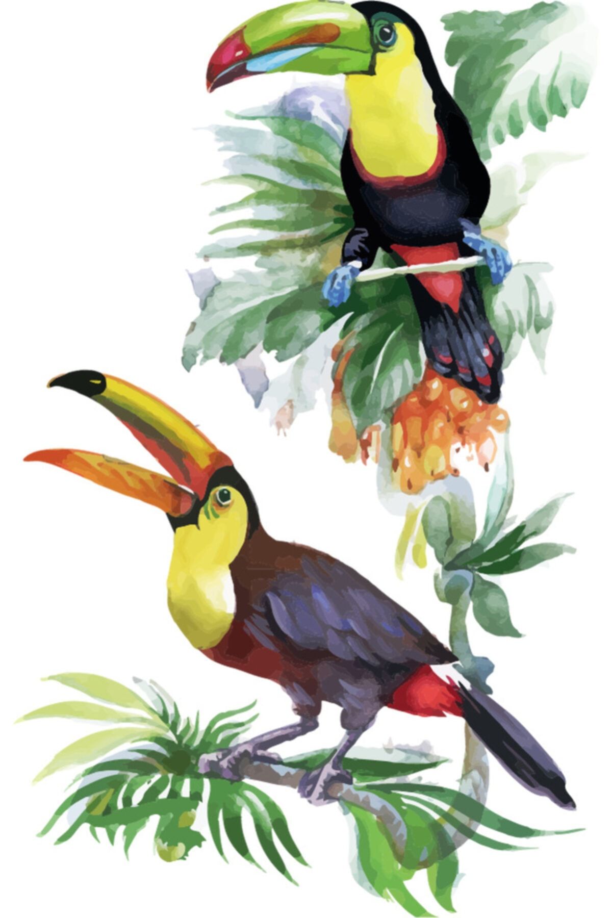 Fec Reklam Tropikal Tukan Kuşları Ve Ağaç Dalı Duvar Sticker