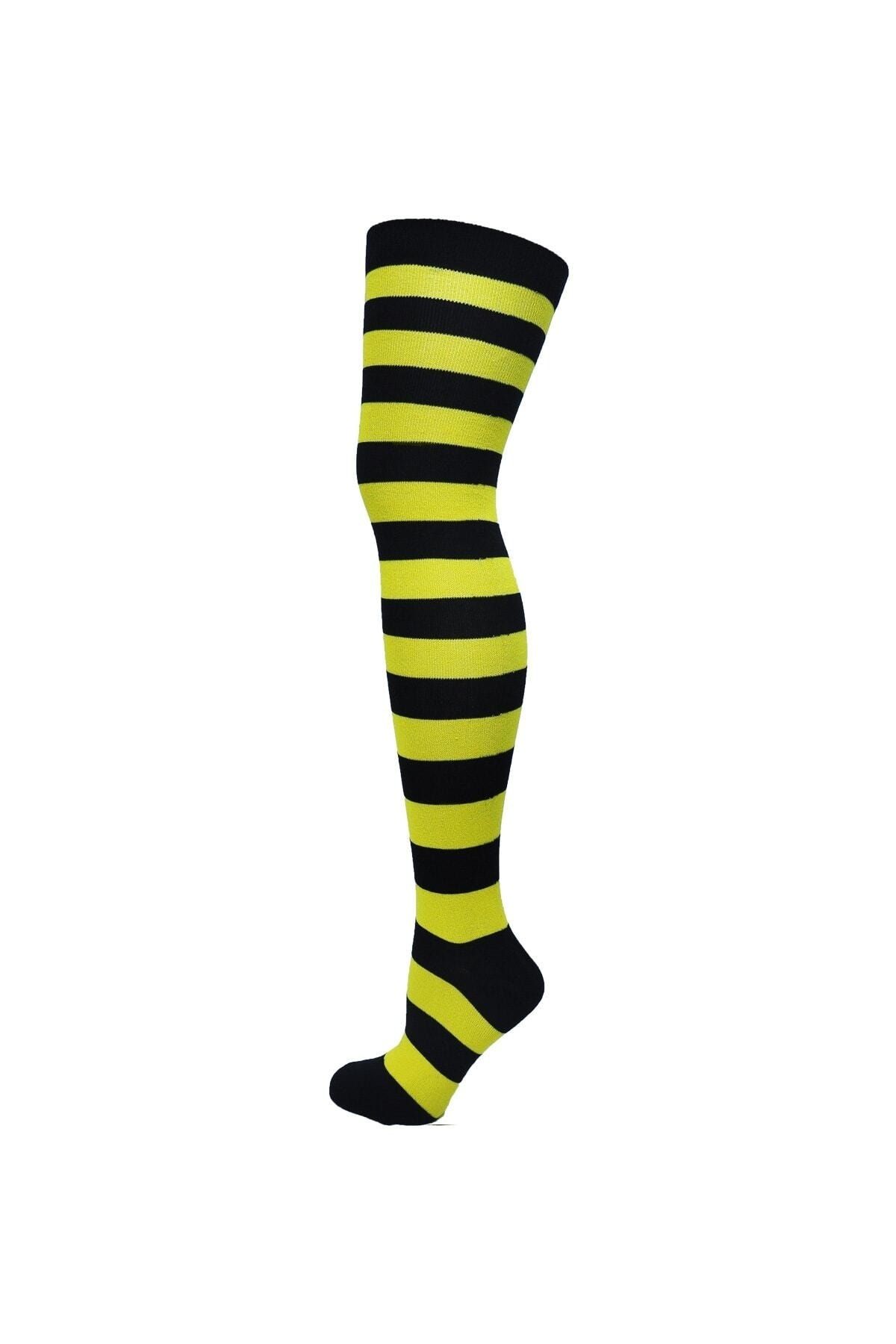 TİSTA Kadın Sarı Siyah Renkli Çizgili Diz Üstü Çorap