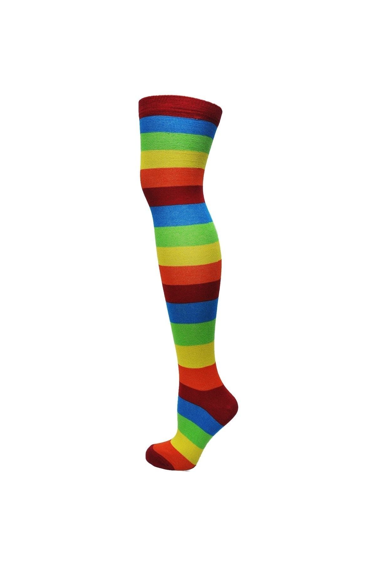 TİSTA Kadın Gökkuşağı Renkli Çizgili Diz Üstü Çorap