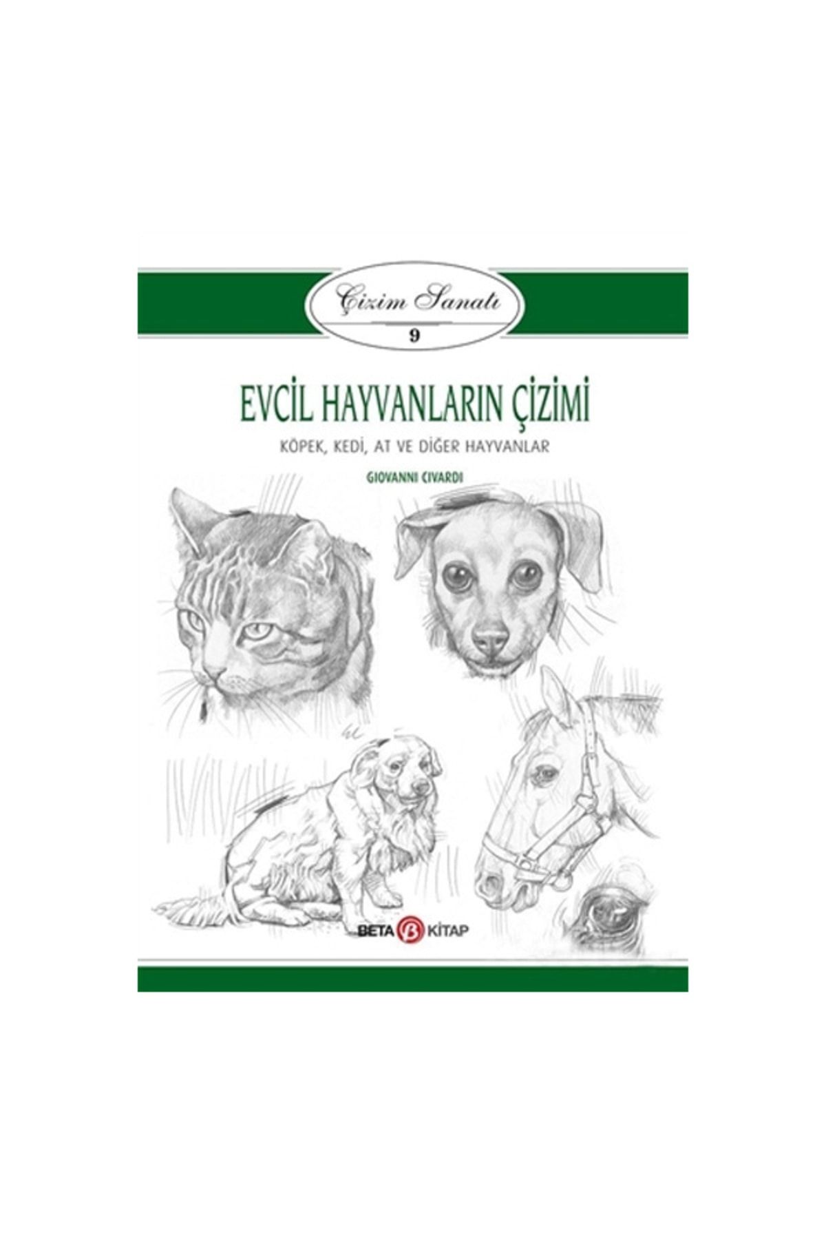 Beta Yayınları Evcil Hayvanların Çizimi - Çizim Sanatı 9 / - Giovanni Civardi