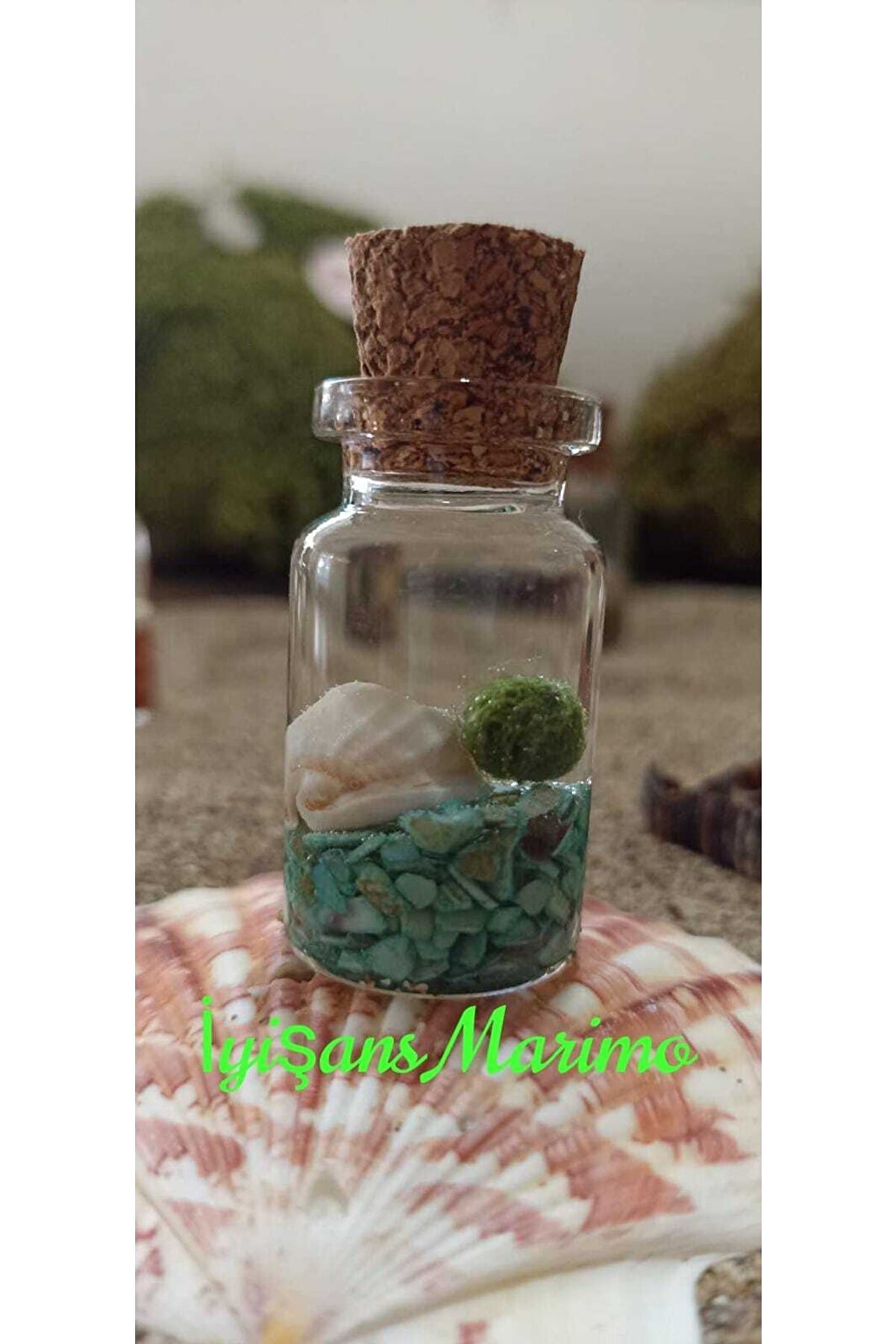 İyişans Marimo Şans Kazandıran Marimo Şans Yosunu Canlı Teraryumu Mossball Mini Pet Terrarium(5*3CM) Mavi Renk