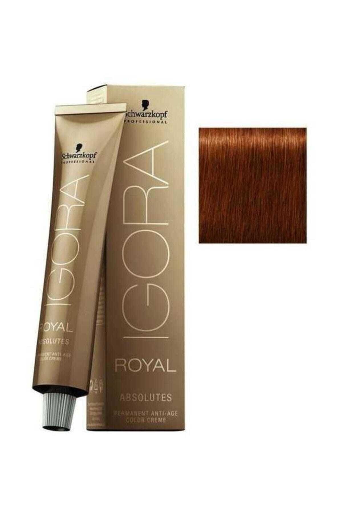 Igora Royal Absolutes 6-70 Koyu Kumral Bakır Doğal Süper Saç Boyası 60 Ml
