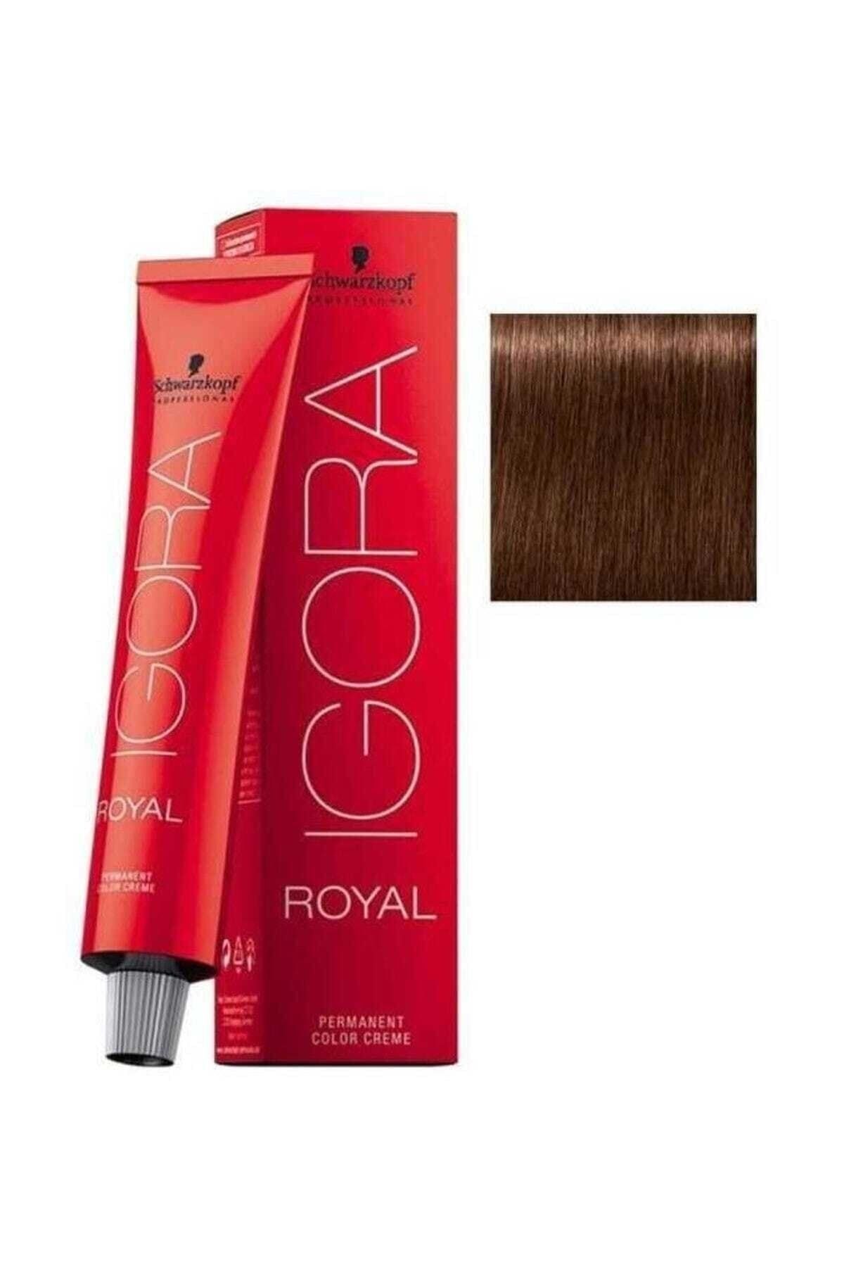 Igora Danışman Kuaför Kestane Kızıl Koyu Kumral 6.68 Royal Saç Boyası 6-68 60 Ml