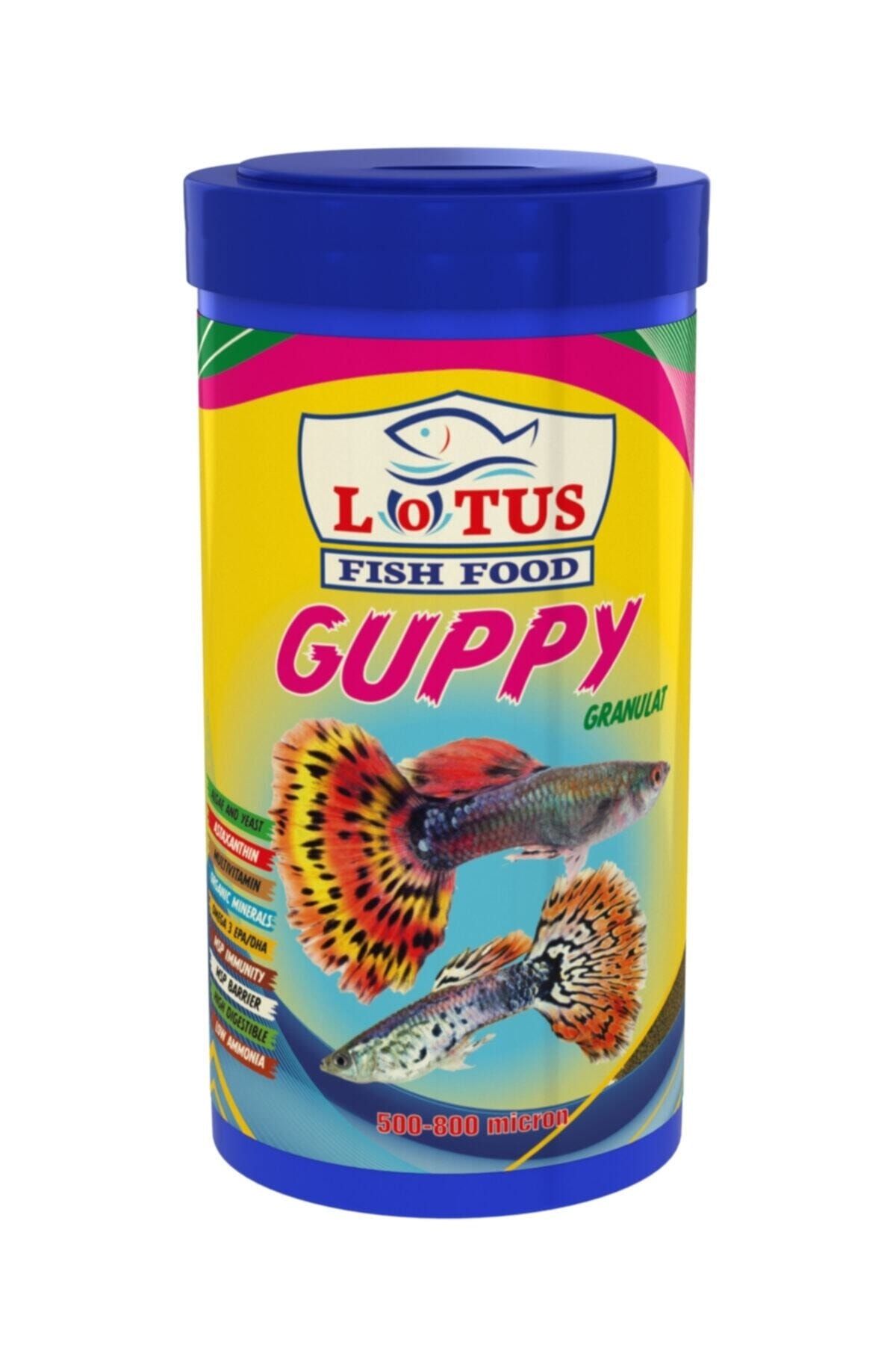 Lotus Guppy Granulat 250 ml Bitkisel Protein Karışık Lepistes Moli Kılıç Tetrazon Balık Yemi