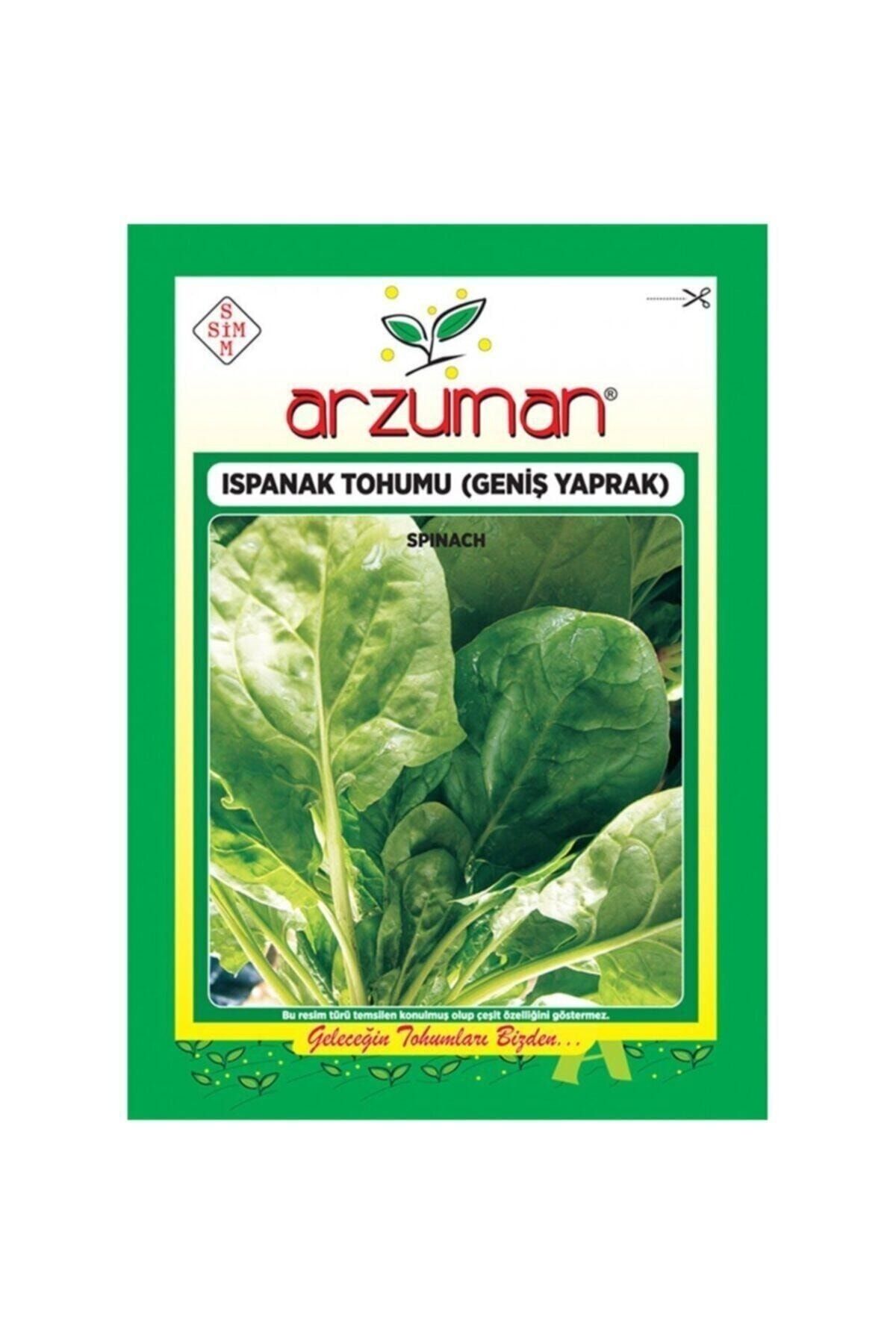 Arzuman Geniş Yapraklı Ispanak Tohumu-25 Gram