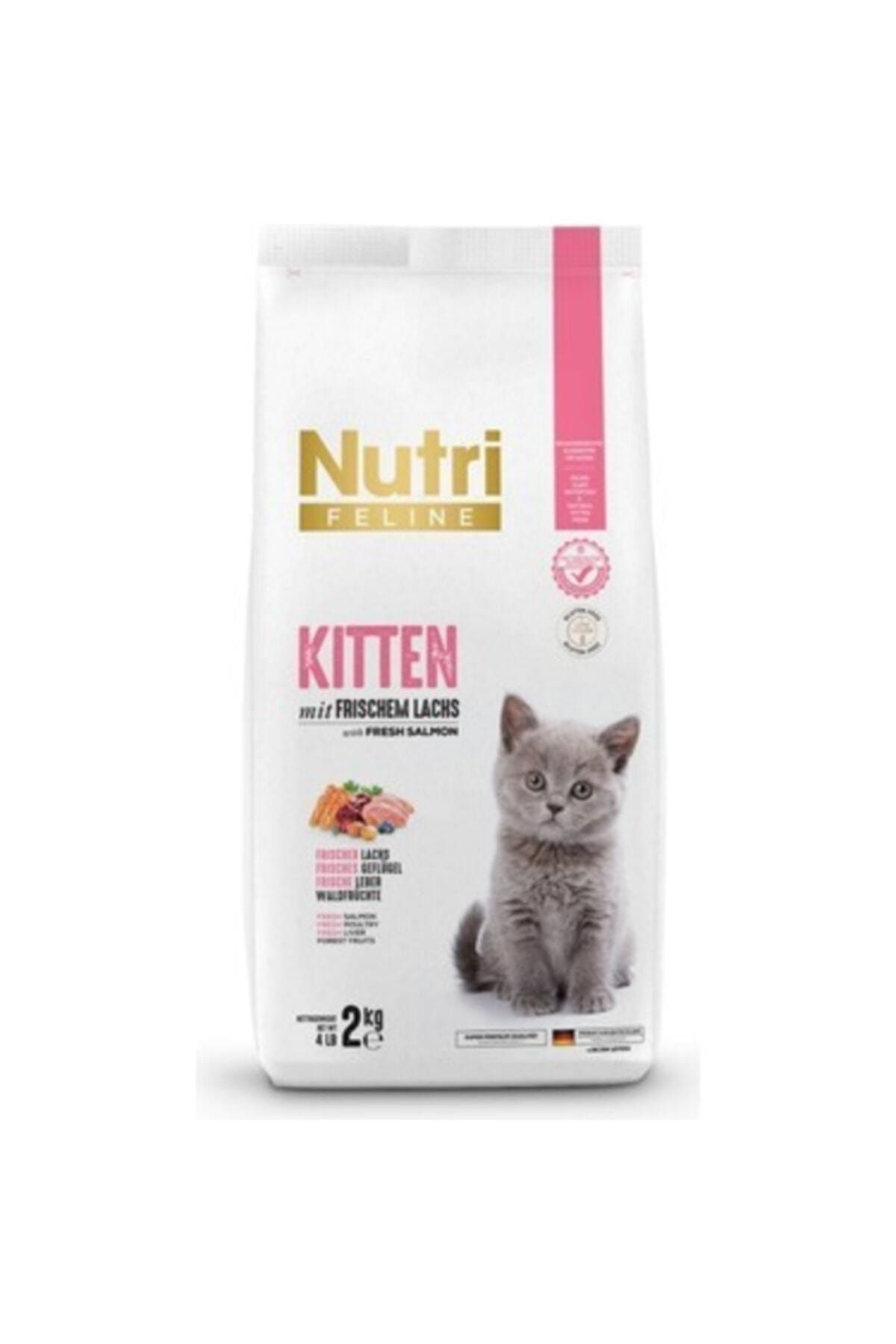 N & D Nutri Feline Tahılsız Kitten Somonlu Yavru Kedi Maması 1 Kg